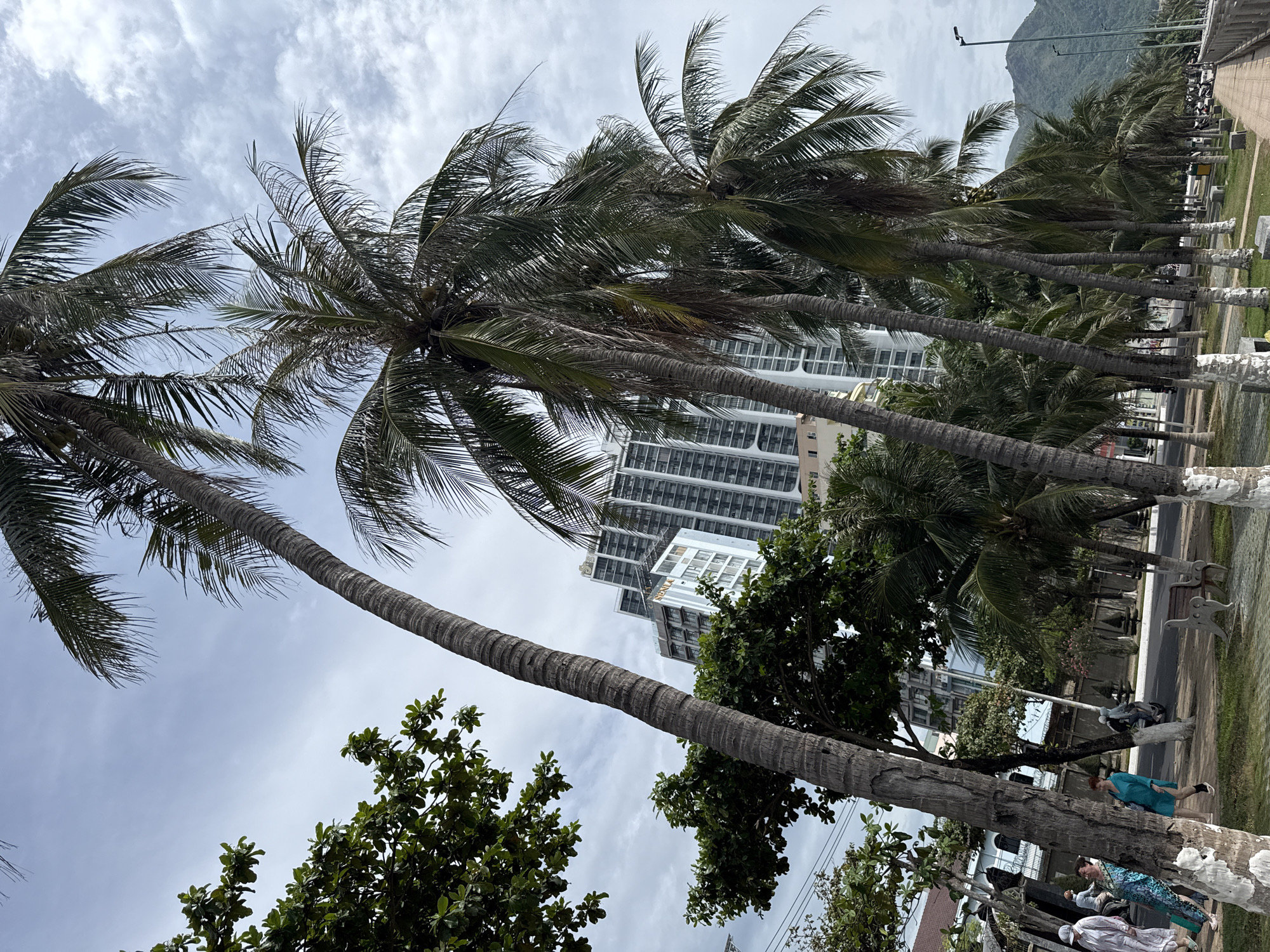 The image depicts a seaside promenade in Nha Trang, Vietnam, characterized by a line of palm trees leading towards the ocean. In the background, a tall, modern hotel building stands prominently, showcasing a white facade with numerous balconies. The sky is overcast with scattered clouds, suggesting a day that is not entirely sunny.
In the foreground and midground, several tall palm trees with their fronds spread out dominate the scene. The trunks of some of these trees are painted with white bands at their bases. Along the promenade, a paved walkway is visible, lined with benches and patches of grass. A road runs alongside the walkway, with a few people walking and a motorcycle parked. The overall atmosphere suggests a public space designed for leisure and recreation. The presence of the distinctive hotel and the tropical vegetation clearly identifies the location as a coastal city, likely a resort area in Nha Trang.