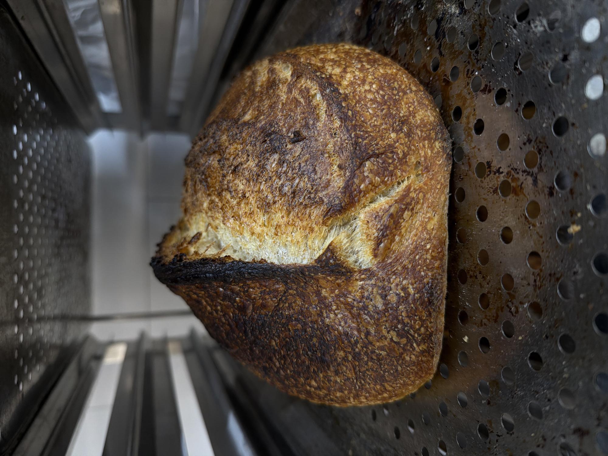 A close-up shot shows a loaf of sourdough bread resting on a perforated metal tray inside what appears to be an oven. The bread has a golden-brown crust with some darker, slightly burnt areas. The tray is dark and shows signs of use, possibly from previous baking. The oven interior is made of metal and has a series of parallel bars visible in the background. There is no evidence to determine if the location is Belgrade, Serbia.