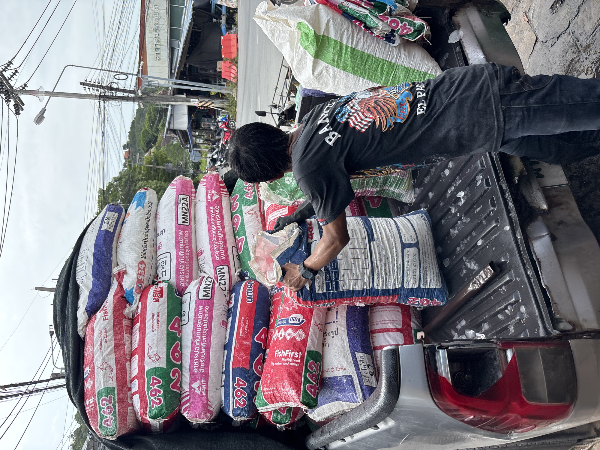 A man in Baan Plai Laem, Thailand is loading a pickup truck with bags of animal feed. He is wearing a black t-shirt with an eagle design, blue jeans, and black gloves. The bags of feed are various colors and brands, including "FishFirst" and "MN22A". The truck is parked on a city street with power lines overhead. Buildings and trees are visible in the background. The truck is silver with red taillights.