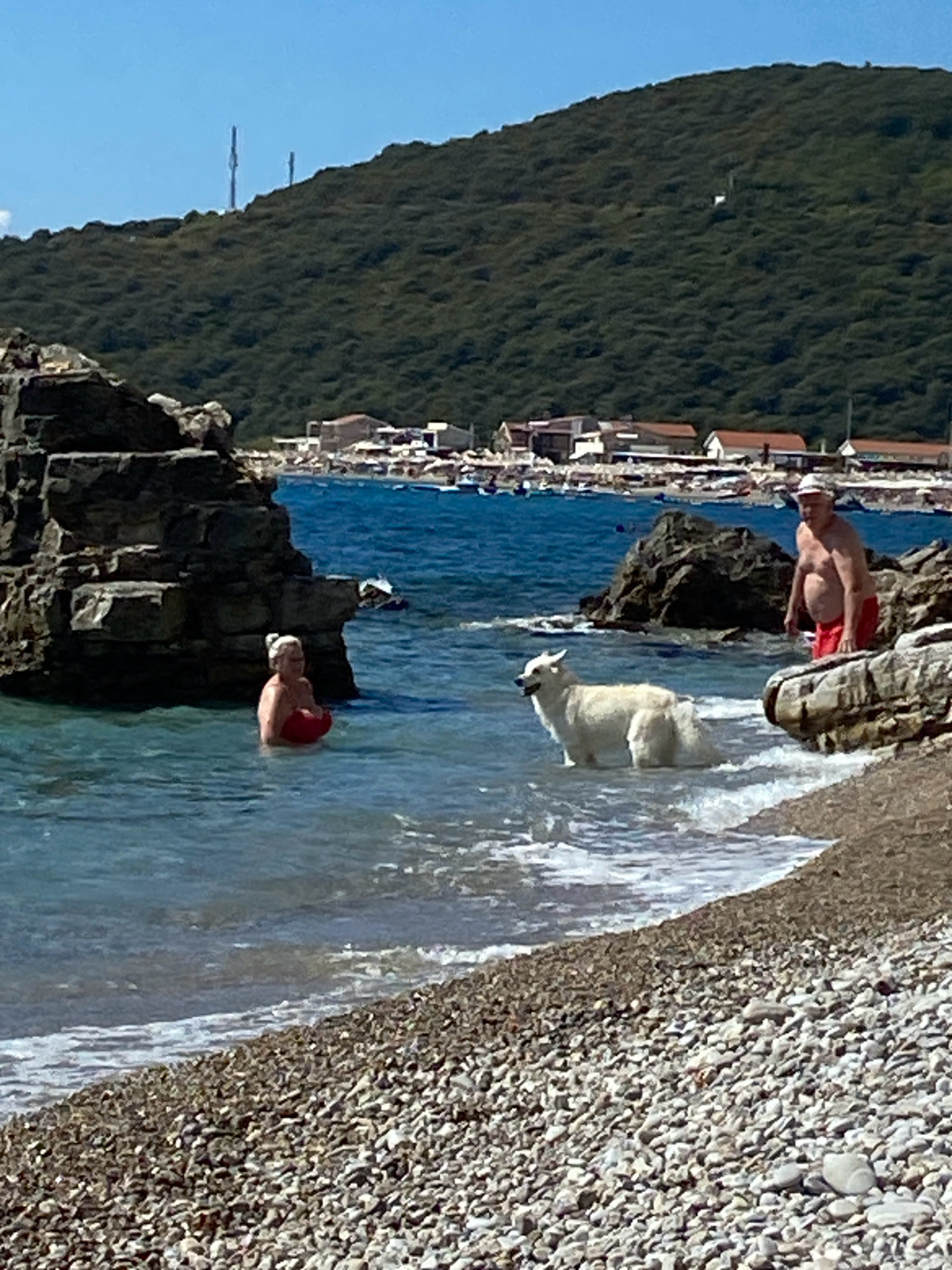 In Prijevor, Montenegro, a man and a woman are at the water's edge on a rocky beach. The woman, wearing a red swimsuit, stands in the shallow water near large rocks. A white dog stands in the water to her right. A man, wearing red shorts, stands on the beach to the right of the dog, looking out at the water. In the background, a hillside covered in green trees slopes down towards a bay with buildings and boats. Two antenna towers are visible on the crest of the hill. The sky is clear and blue.
