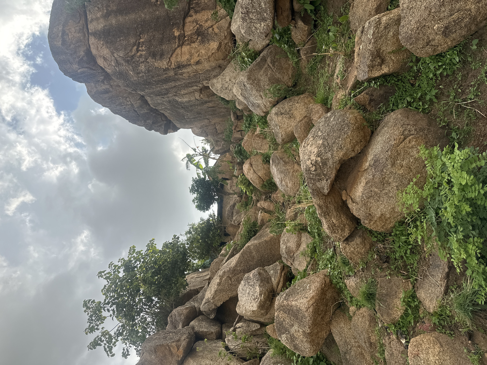 The image displays a rugged natural landscape characterized by an abundance of large, weathered rock formations and dense vegetation. The setting appears to be a rocky hillside or a prominent rock outcrop, consistent with the terrain found in Jos, Nigeria.
Dominating the scene are numerous boulders and rocks, primarily in shades of earthy brown and grey, varying greatly in size and shape. Some of these rocks are quite massive, with one significant overhanging formation visible towards the upper left portion of the frame. Between and around these geological features, lush green vegetation thrives, including various types of grasses, small leafy plants, and bushes that add a vibrant contrast to the stony environment. In the middle ground, several trees with full, green canopies are visible; one particular tree has broad leaves, possibly indicative of a banana plant or a similar tropical species.
The sky, partially visible in the background, is overcast with large, light grey clouds, though patches of brighter, clearer blue sky are also discernible. The natural lighting suggests it is daytime. There are no human subjects, animals, or visible text within the image. The scene conveys a sense of wild, untouched nature and the geological characteristics typical of the region.