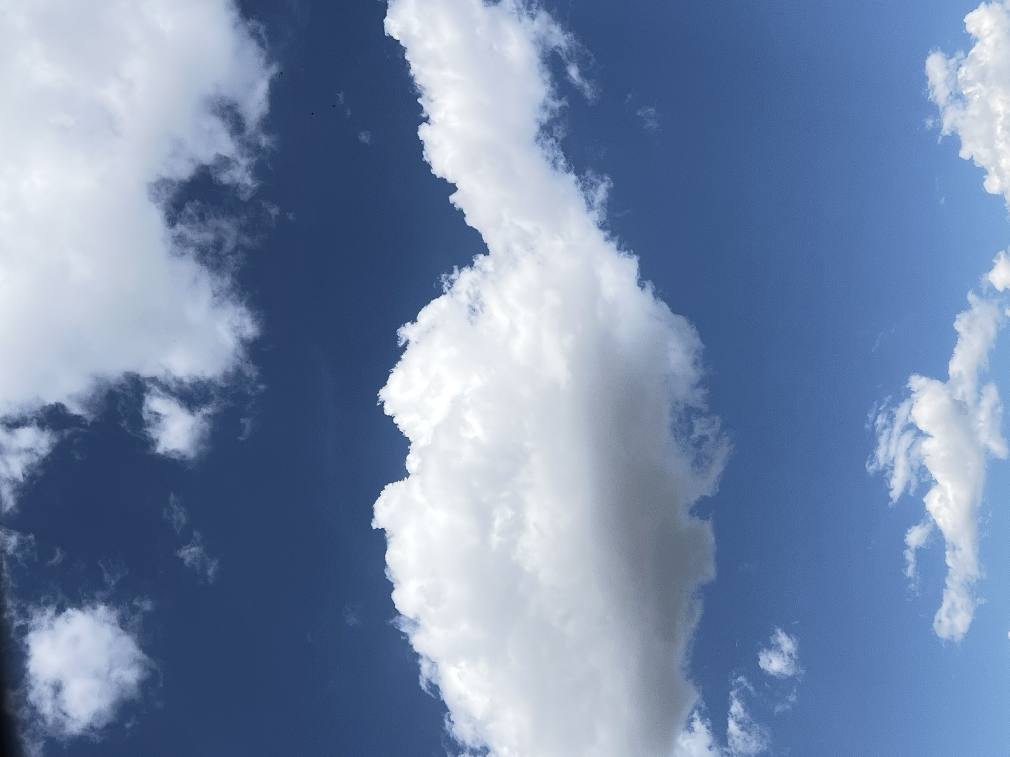 The image shows a clear blue sky with several white and grey clouds. There are no people, buildings, or any other identifiable objects present. The scene appears to be an outdoor environment, likely taken from ground level looking upwards. No specific location in Plovdiv, Bulgaria can be determined from the image.