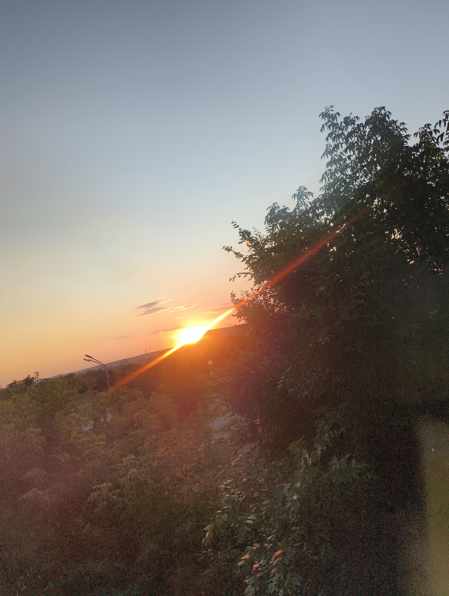 The image depicts a sunset scene in an urban environment, likely in Unknown, Unknown. The sky transitions from a pale blue at the top to hues of orange and yellow near the horizon, indicating the sun is setting. A bright sunburst is visible, with rays of light extending outwards, some of which are diffused by lens flare. In the foreground, a large, dark-leafed tree dominates the right side of the frame, obscuring part of the view. To the left, a landscape of trees and vegetation stretches into the distance. A street lamp with two lights is positioned in the mid-ground, angled towards the left. The overall impression is of a natural sunset occurring amidst signs of urban infrastructure.