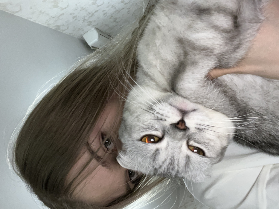 The image presents a close-up, tilted view of a female individual holding a domestic cat indoors. The exact location within the city of Zvezda, Russia, cannot be determined from the visual evidence.
The upper portion of a female's face is visible, characterized by light-colored eyes and light brown hair that partially obscures her features. She is wearing a light-colored garment, with a section of her shoulder and upper arm visible. Her pale-skinned left hand is seen supporting the cat from its underside.
The cat is a short-haired domestic feline, exhibiting grey and white tabby markings. Its eyes are a striking amber-orange color, reflecting light prominently. The cat's head is tilted slightly downwards, displaying a neutral expression.
The background consists of a light-colored ceiling in the upper right of the frame and a wall covered with light-toned wallpaper featuring a subtle, mottled pattern. A white, rectangular electrical outlet or similar wall-mounted fixture is discernible on the wall in the upper right quadrant. The lighting is diffused and indicative of an indoor setting.