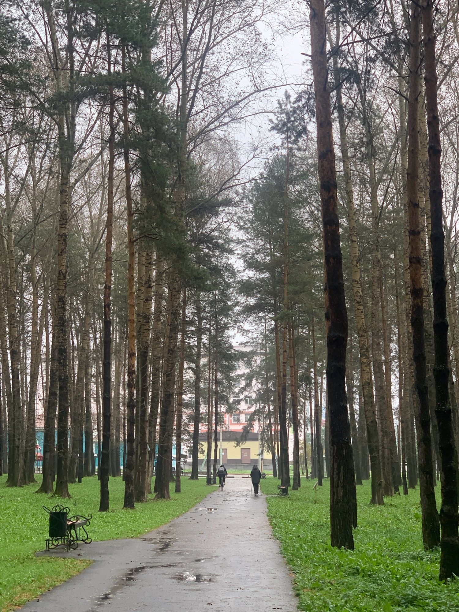 An overcast, damp day in a park with tall trees lining a paved walkway. The walkway is wet with puddles and reflections. A person on a bicycle rides away from the camera, while another person with walking sticks walks towards the camera. On the left side of the path, a black metal bench with a trash receptacle is visible. In the background, buildings are seen through the trees, suggesting an urban setting. The ground is covered with green grass and some fallen leaves. This scene is located in Prokopyevsk, Russia.