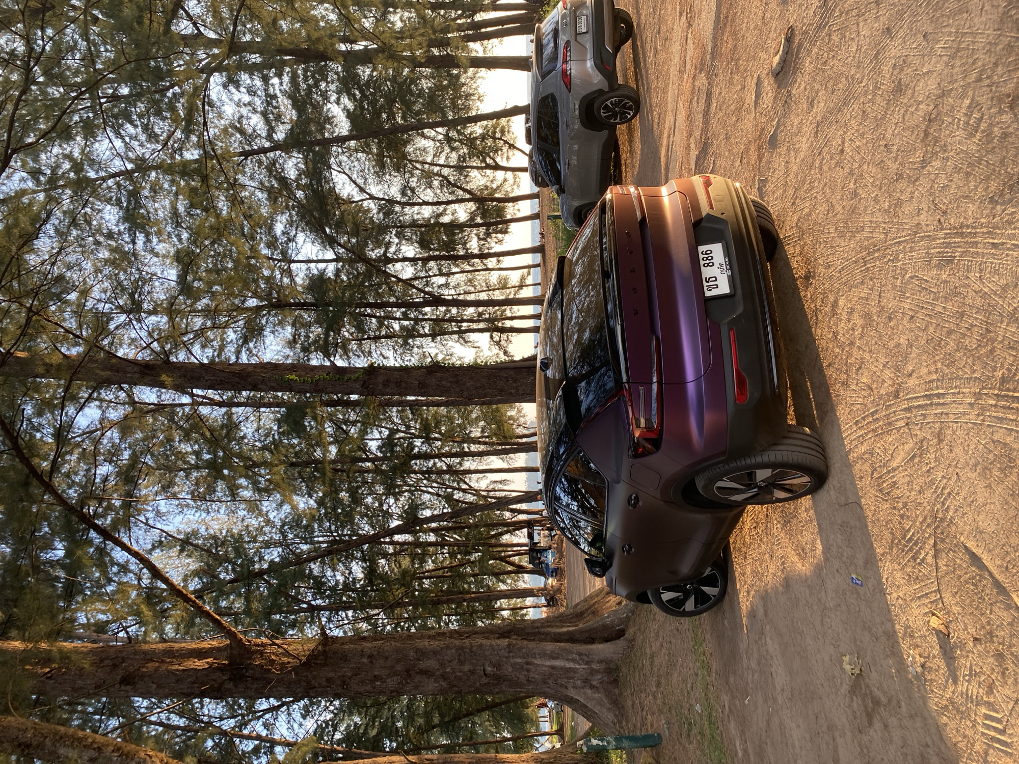 The image shows a roadside scene in Choeng Thale, Thailand. A maroon Volvo SUV is parked on a dirt road alongside a row of pine trees. Behind it, a gray SUV is also parked. The sun is setting, casting a warm light across the scene. The trees line a coastal area, with the ocean visible in the distance between the tree trunks. The license plate of the maroon Volvo is visible. The ground shows tire tracks. No people are visible.