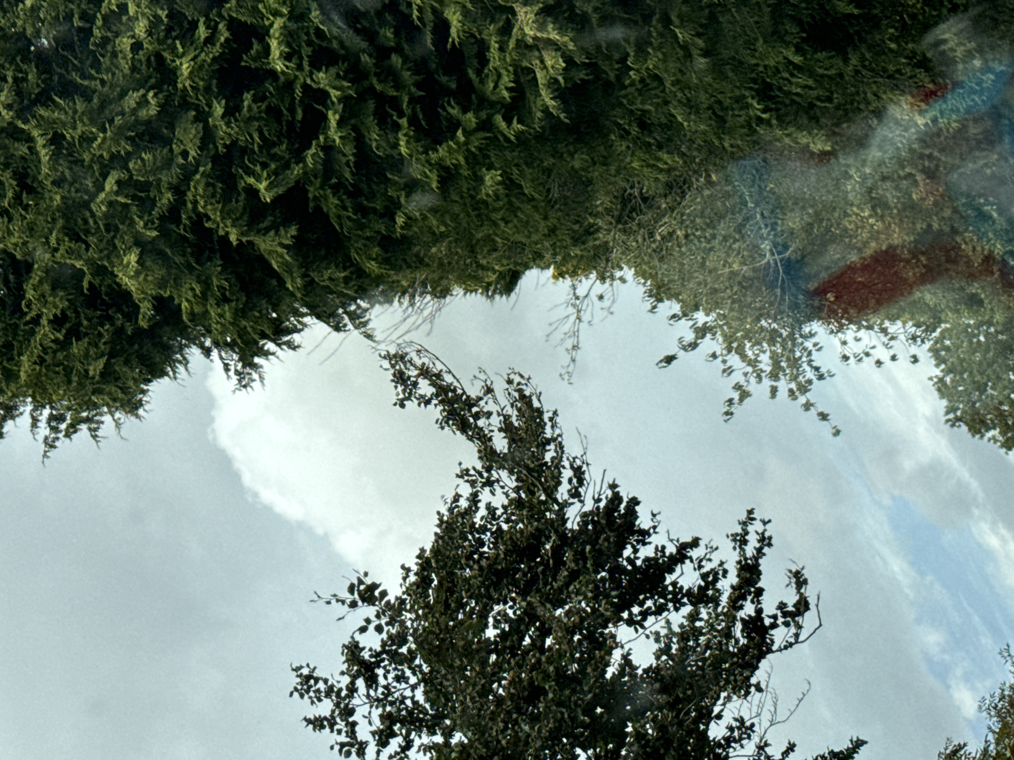 A tree-lined road is visible, with dense green foliage on the right side of the image and a tree with dark leaves on the left. The sky is overcast with some white clouds. A faint rainbow-like streak is present in the lower right portion of the image, suggesting it may have been taken through glass with light reflecting on it.