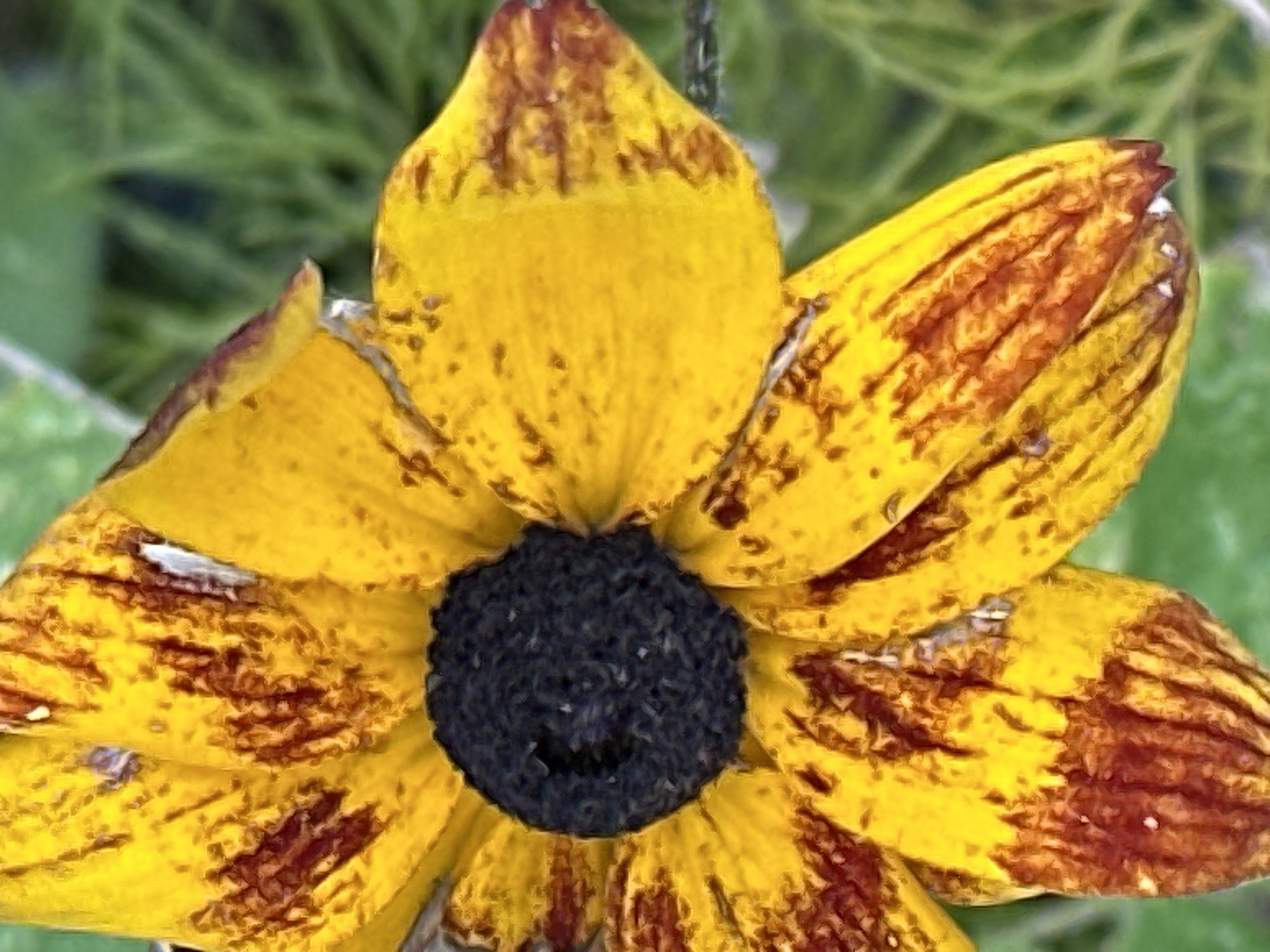 The image is a close-up, outdoor photograph of a yellow and brown patterned flower. The flower has a dark, textured center and prominent yellow petals with reddish-brown streaks and spots. The background is a soft-focus blur of green foliage. The photograph appears to be a still life composition, focusing entirely on the flower's details. There is no indication of a specific location in Podolsk, Russia, or any human activity.