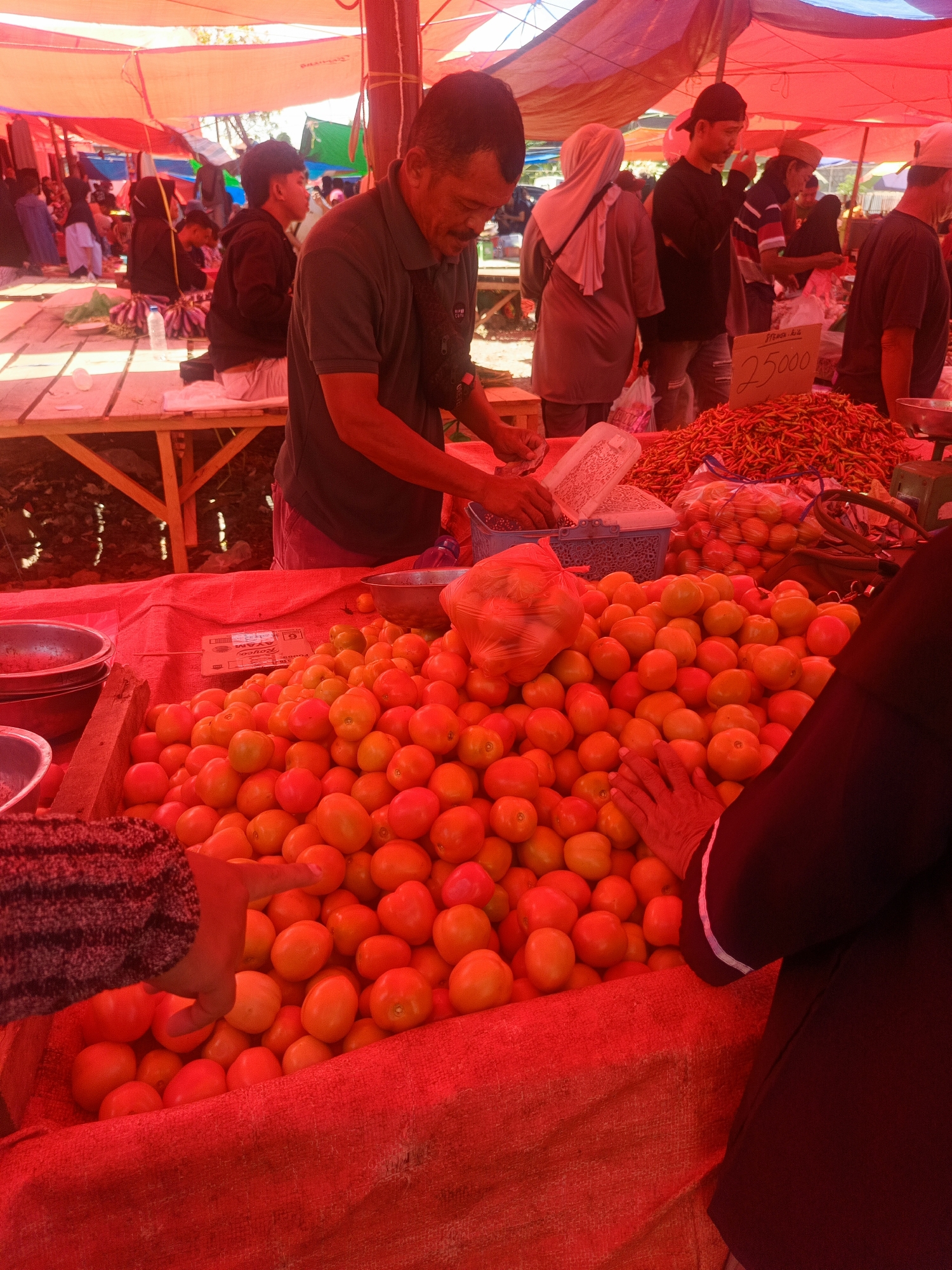 This is a medium shot of a vibrant outdoor market scene, possibly in Gorontalo, Indonesia. The overall impression is red due to the abundance of red canvas covering the stalls and the colorful produce. In the foreground, a large mound of bright red tomatoes is prominently displayed. To the left, a person's arm, clad in a striped sleeve, is reaching towards the tomatoes. Behind the tomatoes, a large pile of red chilies is visible. A handwritten price tag reading "25000" is placed near the chilies. In the background, several people are browsing and interacting at various stalls under a red and white striped canopy. The market appears to be bustling with activity, suggesting a typical day of commerce in a local Indonesian setting.