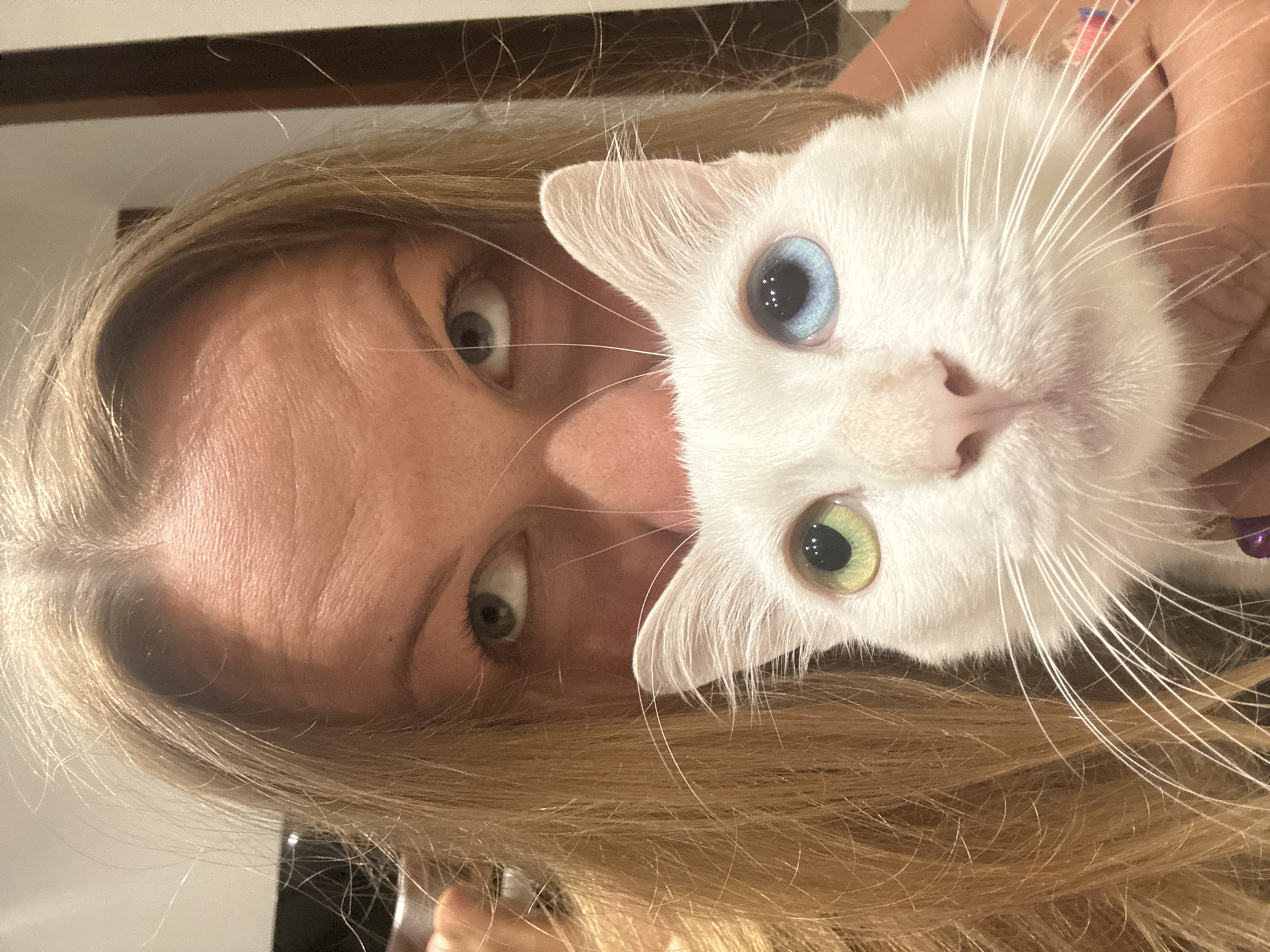 A woman with blonde hair is holding a white cat with heterochromia (one blue eye and one green eye) close to her face. The woman's eyes are visible above the cat. The setting appears to be indoors. The precise location in Ungasan, Indonesia, is undeterminable from this image.