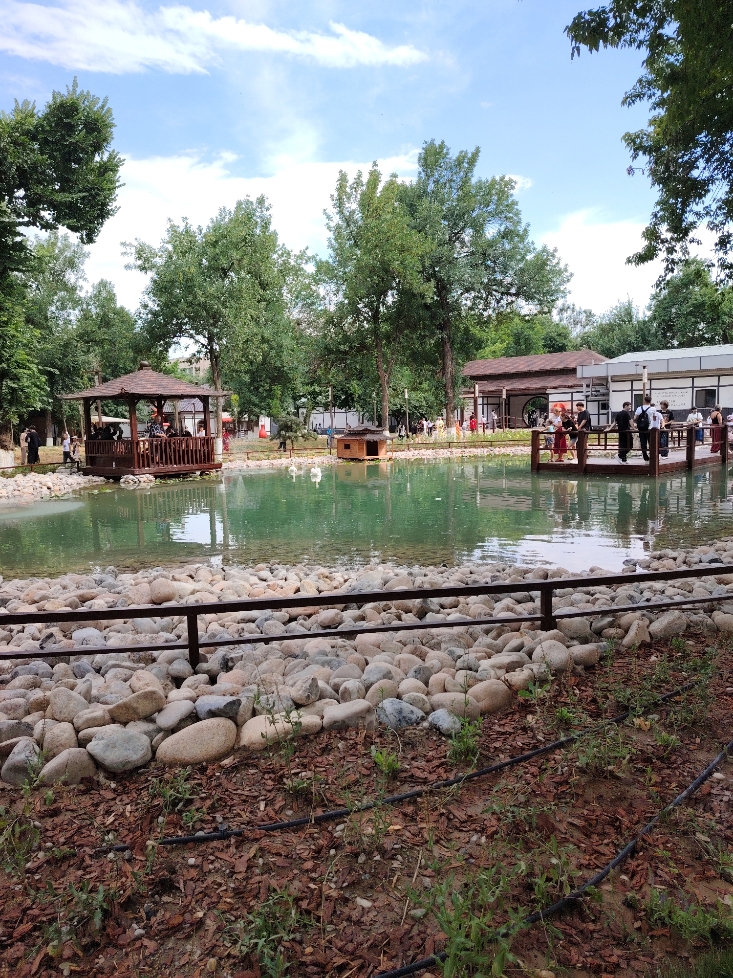 An outdoor scene shows a body of water in a park or garden. The water is green and calm, with some lily pads visible. There are several swans swimming in the water. A wooden gazebo sits on a platform next to the water, and people are gathered there. Another wooden deck juts out into the water, with several people standing on it. In the background, there are buildings with wooden roofs and white walls, and lush green trees. The foreground is lined with smooth, rounded stones and some mulch. The sky is blue with scattered white clouds.