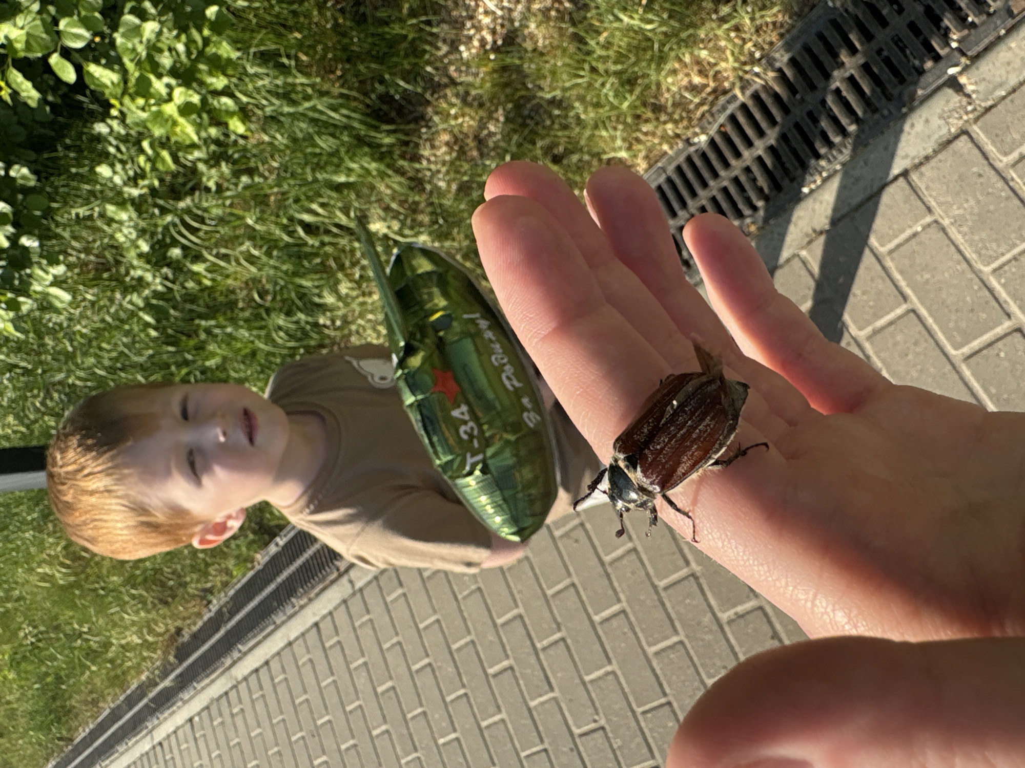 A hand, prominently displayed, supports a May beetle (Melolontha melolontha) resting on the index finger. To the left, a child with red hair and a brown shirt holds a green balloon, labeled "T-34" in Cyrillic. The scene unfolds on a paved area of light gray bricks. A drainage grate runs parallel to the pavement's edge, bordering a patch of green grass and plants. The city of Chaikovsky, Russia is indicated by the balloon's inscription.