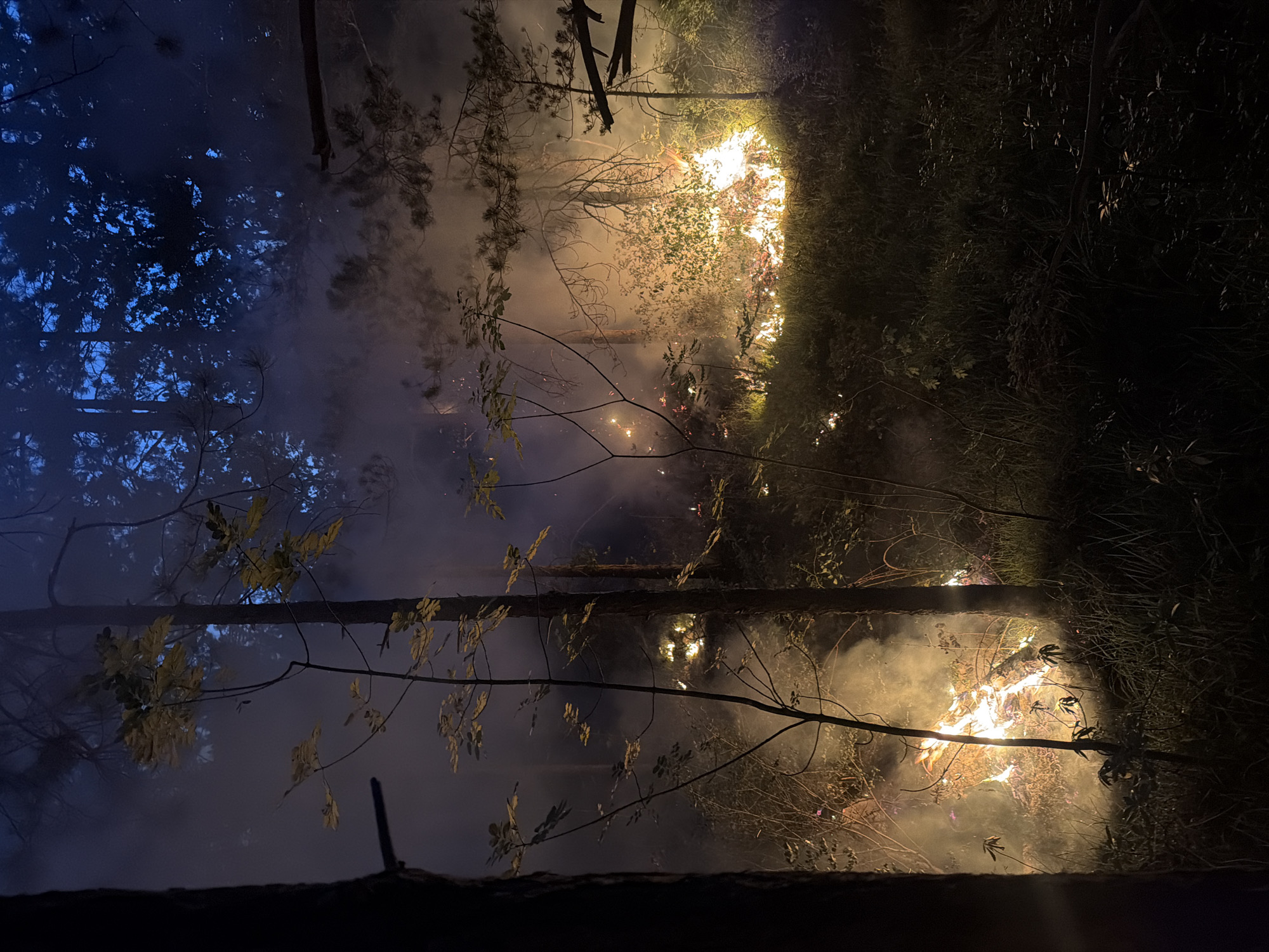 The image captures a nighttime scene in a forest, likely on the outskirts of Gluhi Do, Montenegro. A forest fire is actively burning, with visible flames illuminating the undergrowth and surrounding trees. Smoke hangs heavy in the air, obscuring parts of the dense vegetation and the dark sky, which appears to be illuminated by the fire. The terrain is uneven, covered with grass, bushes, and fallen leaves. Several tree trunks are visible, silhouetted against the fiery backdrop. The fire appears to be concentrated in a few areas, with bright orange and yellow flames leaping upwards. The scene is dimly lit, with the fire being the primary light source, creating a stark contrast between the illuminated areas and the deep shadows. There are no people or animals visible in the image. The overall impression is one of a wild and uncontrolled blaze within a natural environment.