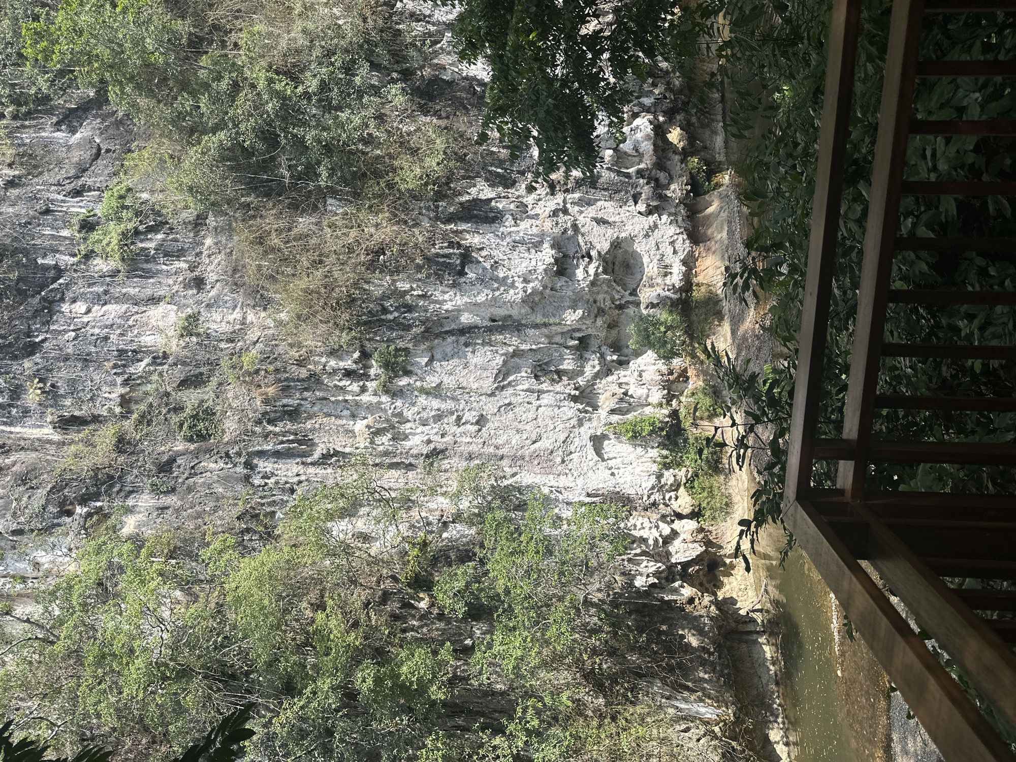 A photograph depicts a limestone cliff face adjacent to a body of water, likely a river or stream, in Khlong Sok, Thailand. The cliff is predominantly gray and white, displaying vertical striations and crevices, with patches of green vegetation clinging to its surface. A wooden railing, possibly belonging to a structure or platform, is visible on the right side of the frame. The water is murky, reflecting light unevenly. The overall environment suggests a tropical or subtropical climate. No people are visible.