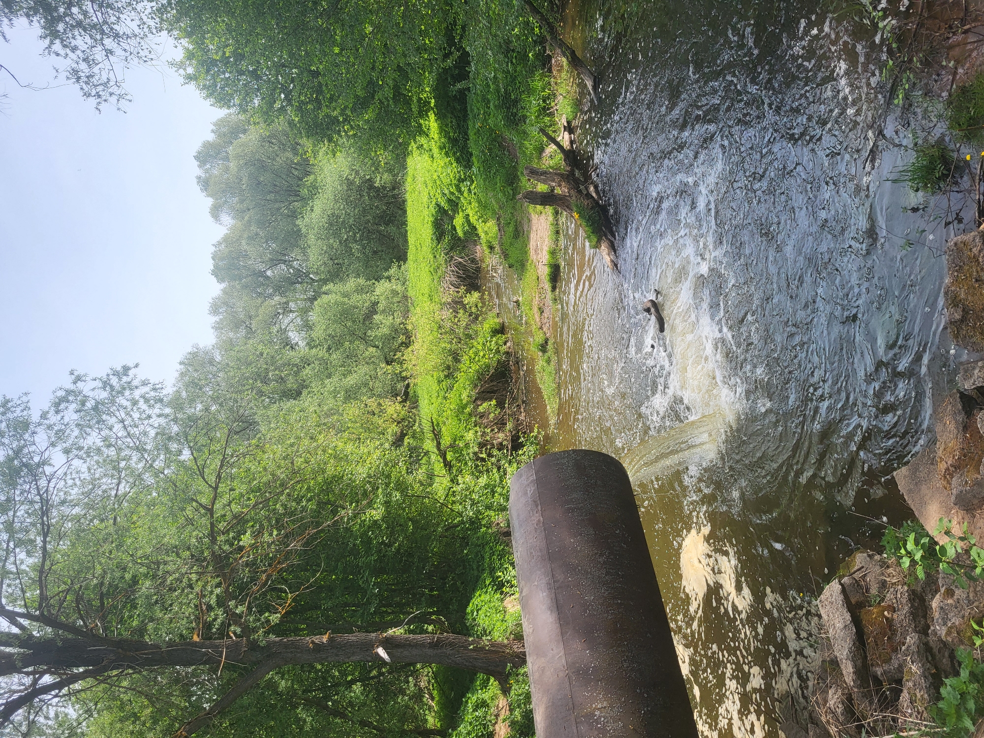The image depicts a water scene in Зипуново, Russia. A moderate-sized river flows through a landscape densely populated with greenery. The river's current is strong enough to create small rapids. A large, metal pipe extends into the river, seemingly directing the flow of water. The riverbanks are lush with various plant species, including trees and grass. Weather is clear, and sky is visible, but largely obscured by the tree cover. The overall setting seems natural and relatively untouched by urban development.