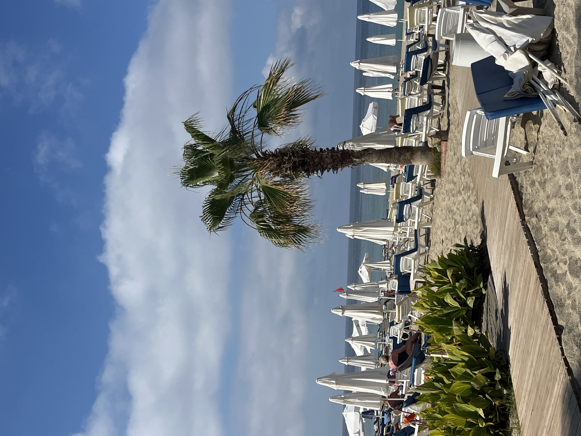 The image displays a picturesque daytime beach scene in Alanya, Turkey, characterized by a bright, sunny atmosphere with some clouds. A tall palm tree stands prominently in the foreground, its green fronds reaching towards a clear blue sky on the left, which transitions into soft white clouds on the right.
Along the sandy beach, numerous rows of white beach umbrellas, mostly folded or partially open, are neatly arranged with accompanying white and blue sun loungers. These amenities extend into the distance, lining the calm, blue sea that forms the horizon. Several individuals are visible on the loungers, engaged in relaxing activities like sunbathing or resting. One person in a dark swimsuit is noticeable near the base of the palm tree.
On the right side of the frame, a wooden walkway provides access along the beach, bordered by lush green leafy plants. Further down the beach, a small red flag can be seen atop one of the umbrellas, possibly serving as a marker or indicator. The overall scene evokes a peaceful holiday setting, suggesting leisure and good weather. No discernible text is visible.