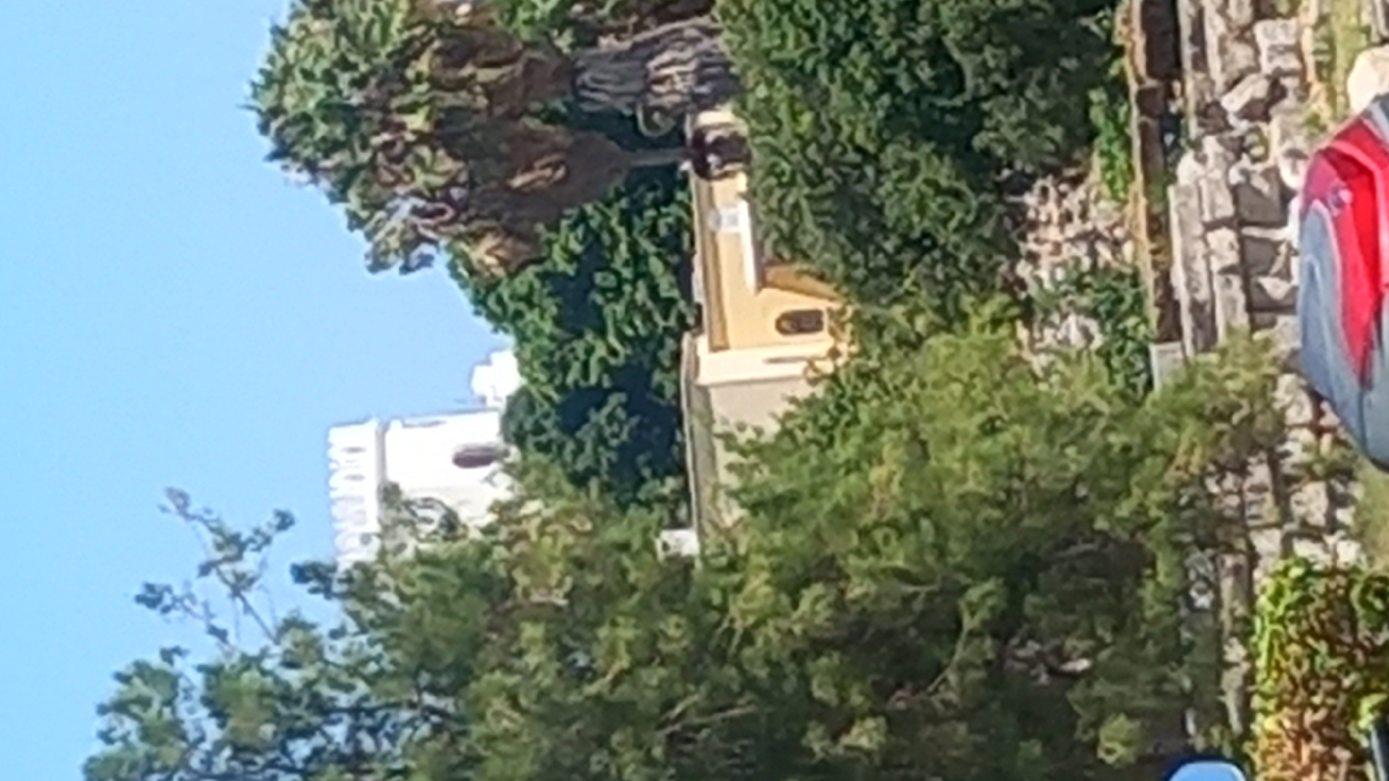 A white, crenellated tower is visible behind lush green trees and foliage, under a clear blue sky. To the right of the tower, a large palm tree with a rough trunk stands out against the greenery. In the mid-ground, a light yellow building with arched windows is partially obscured by trees. Below the building, stone structures are visible, suggesting an ancient site. The foreground shows more greenery and what appears to be the edge of a vehicle with red and grey detailing. This scene is located in Kos, Greece.