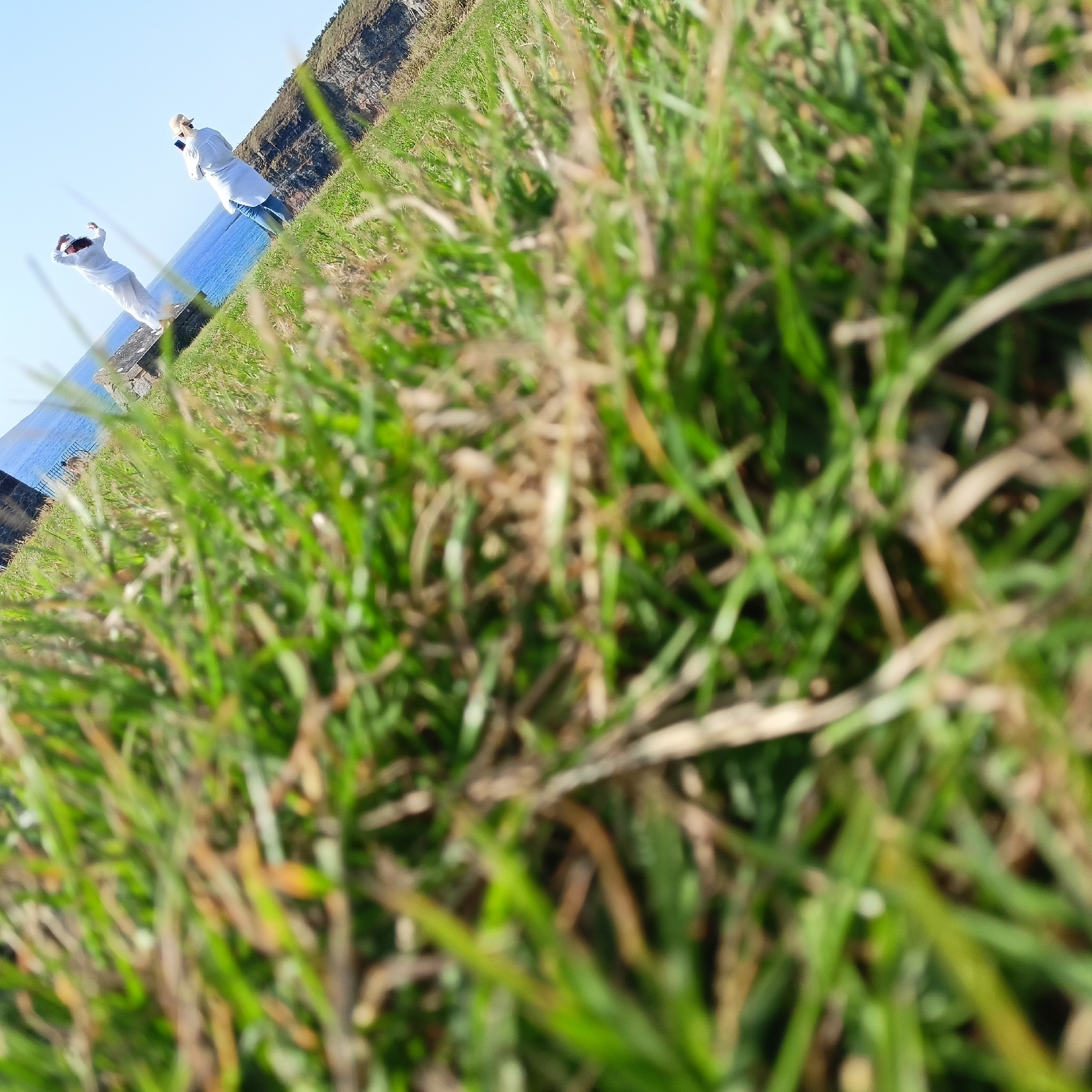 The image depicts two individuals in white clothing near a cliff edge overlooking the ocean. The perspective is low, focusing on blades of grass in the foreground, which are blurred and out of focus. The individuals are positioned at a distance, on a grassy incline leading down to the water. One individual appears to be standing, holding a phone, while the other is in a dynamic pose, possibly mid-movement or stretching. The background shows a rocky cliff face and the blue ocean under a clear sky. The scene is set in Ballybunnion, Ireland, characterized by its coastal landscape and greenery.