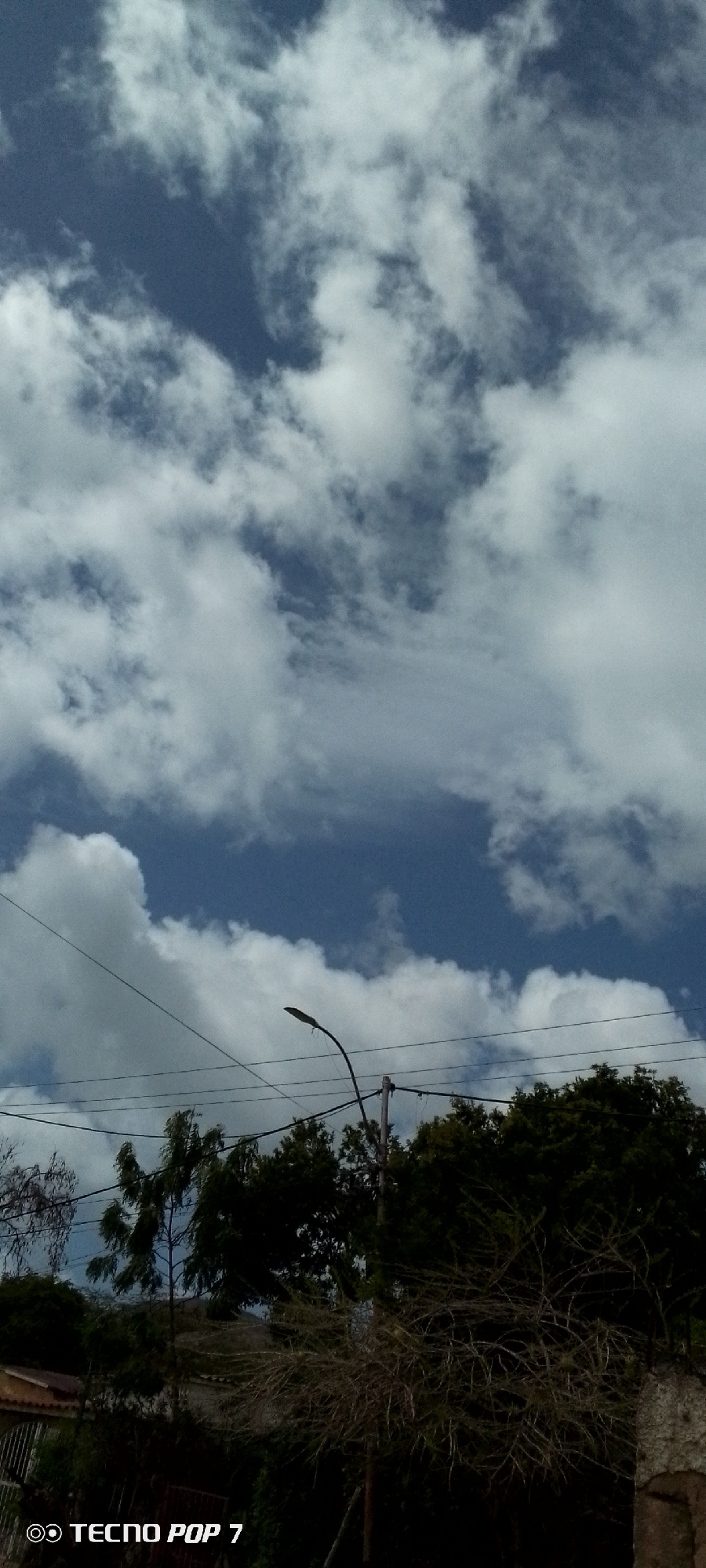 A vertical, low-angle shot captures a cloudy sky above a tree line, power lines, and a street lamp in Altagracia, Venezuela. The sky is a mixture of deep blue and bright white clouds. In the foreground, silhouetted trees with dark green foliage are visible, with some sparser, bare branches in front. A curved street lamp on a pole extends into the frame from the right, and several dark power lines crisscross the image horizontally. A partial view of a building with a red roof is present on the far left. The "TECNO POP 7" watermark is present in the bottom left corner.
