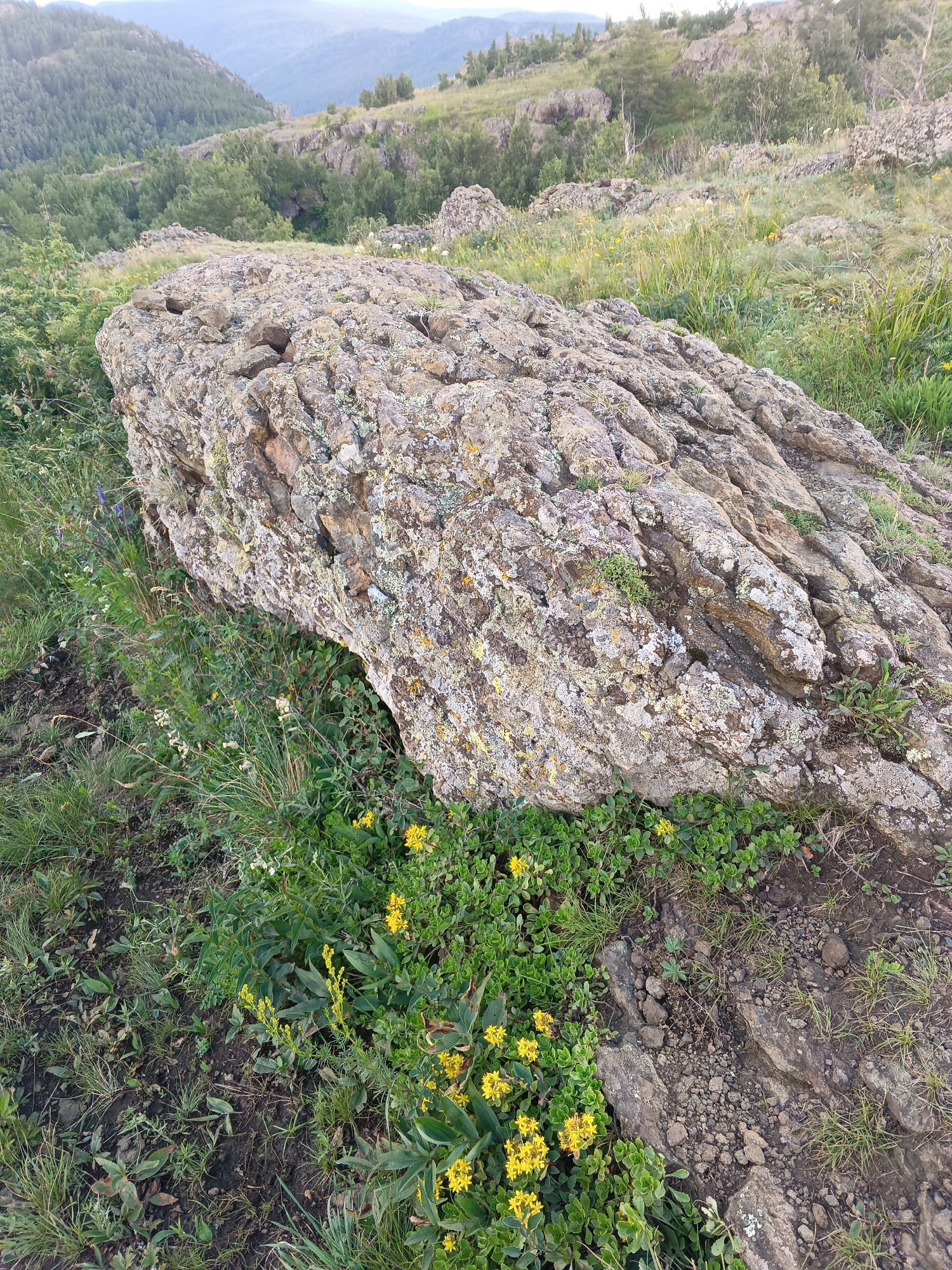 A large, weathered boulder lies on a rocky, grassy slope. The boulder is covered in lichen and has a rough, textured surface. Smaller rocks and patches of green grass are scattered around it. In the foreground, clusters of small yellow flowers bloom amongst the greenery. The background shows a rolling landscape with hills, trees, and a cloudy sky. The scene appears to be in a natural, undeveloped area.