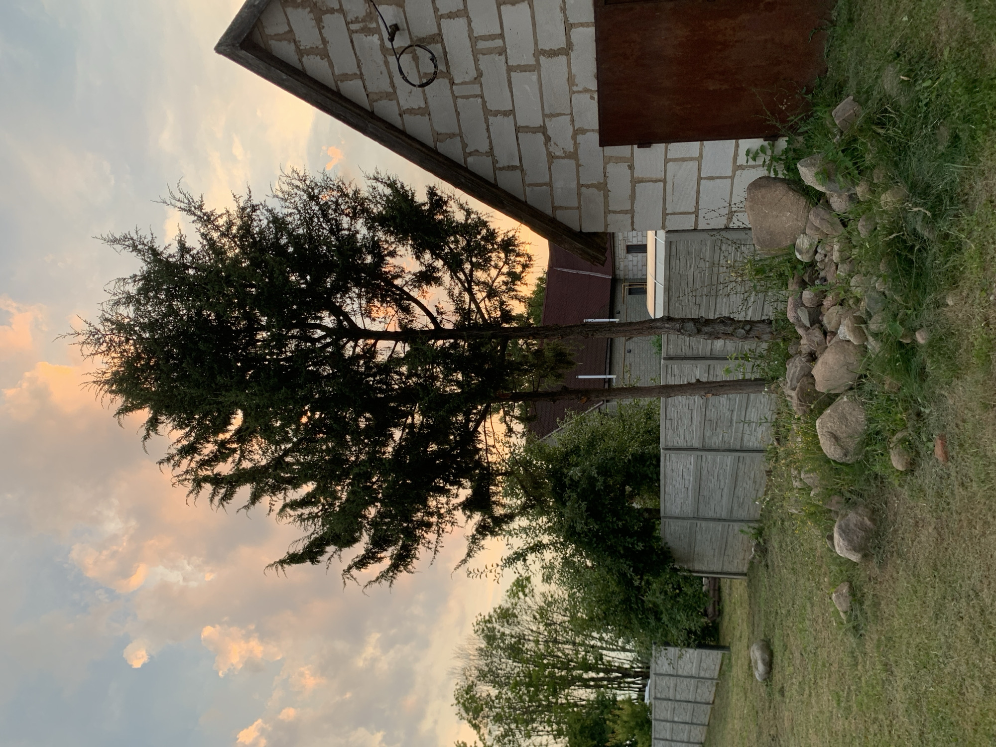 The image shows an outdoor scene at dusk. In the foreground, a grassy area is dotted with several large rocks. A concrete fence runs horizontally across the middle ground, separating the grassy area from a more densely vegetated area behind it. Two tall evergreen trees stand in the center of the frame, silhouetted against a sky with soft, colorful clouds, indicative of sunset or sunrise. To the right, a portion of a building constructed with white cinder blocks is visible, featuring a peaked roof and a large, rusted metal door. In the background, more trees and buildings with red roofs can be seen. The scene appears to be a residential or rural area.
