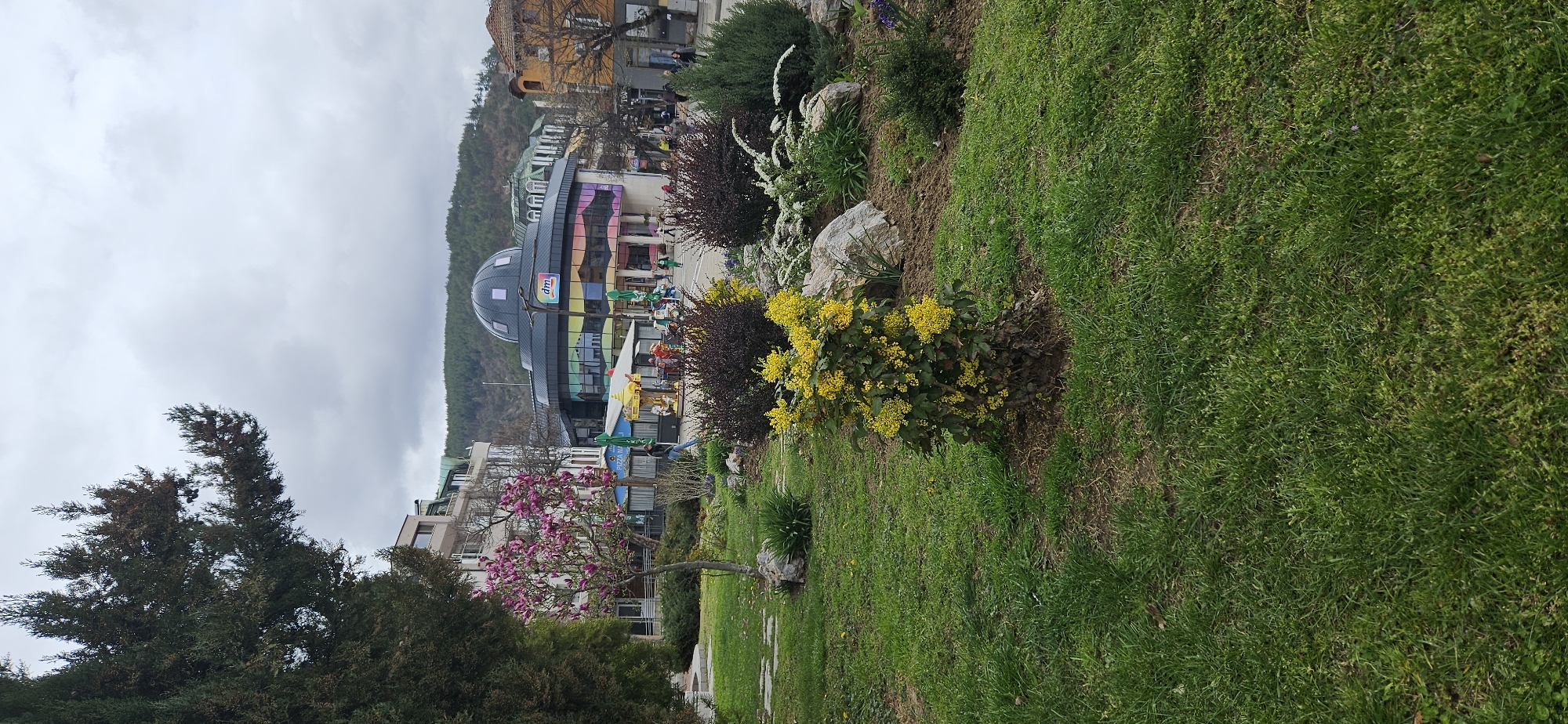 The image shows a street scene in Blagoevgrad, Bulgaria, on an overcast day. The foreground is a green, grassy park area with various bushes and flowering plants, including a bush with bright yellow flowers. A pink flowering tree is visible near the left. In the background, there's a distinctive building with a dome-shaped roof and colorful facade. This building has a "dm" logo on it. People are visible on the street near the building. In the far background, there are tree-covered hills.