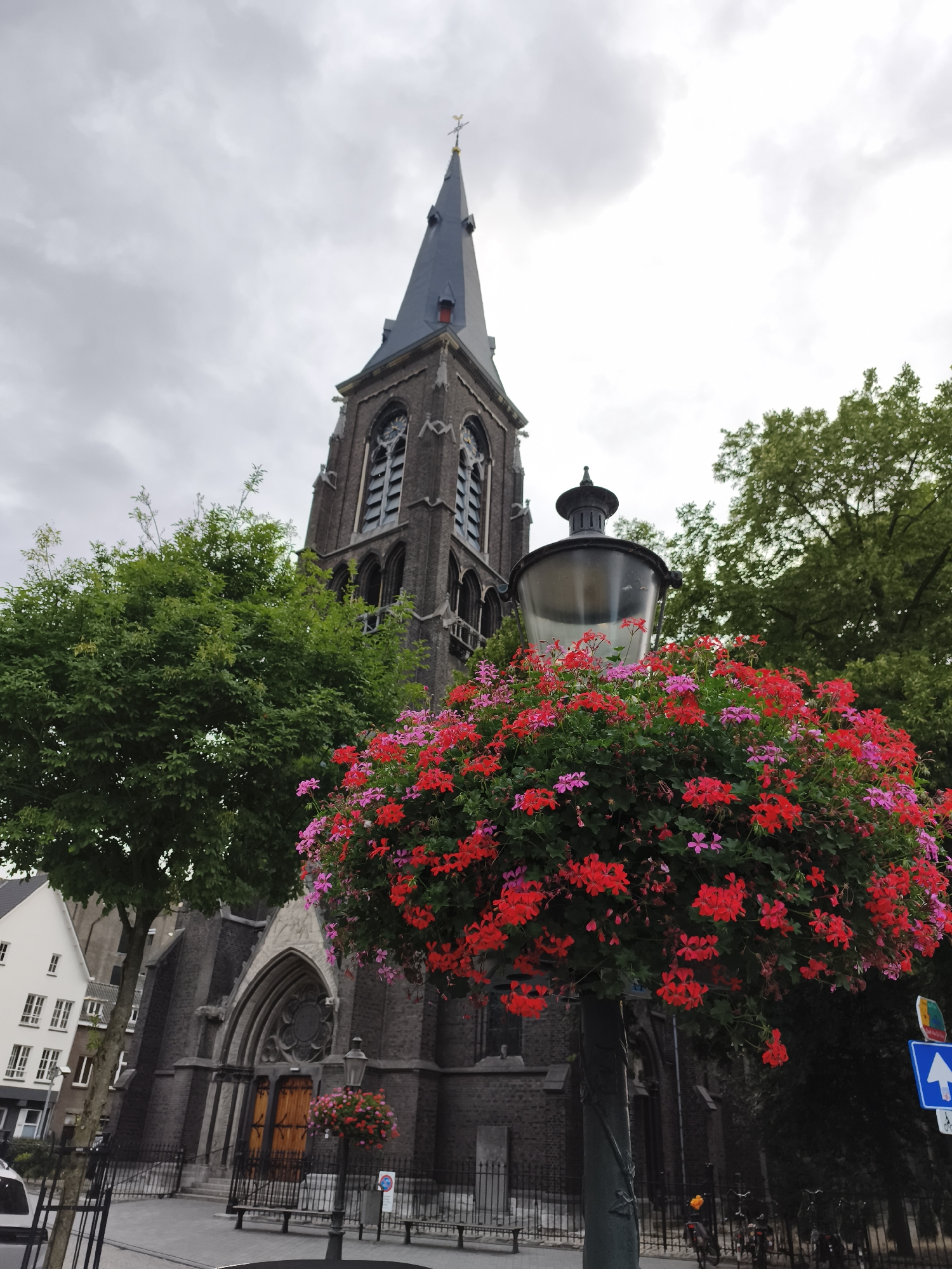 The image shows a low-angle view of the Sint-Servaasbasiliek, a prominent church in Maastricht, Netherlands, with a steeple reaching into an overcast sky. In the foreground, a lamppost is adorned with a large, overflowing basket of vibrant red and pink flowers. To the left of the church, a modern white building with multiple windows stands adjacent to a mature green tree. The church itself is constructed of dark brick and features arched doorways and windows. In the background, more trees are visible. A blue directional sign with a white arrow pointing upwards is positioned to the right of the lamppost, and several bicycles are parked to the right of the church entrance. The ground is paved with interlocking bricks.