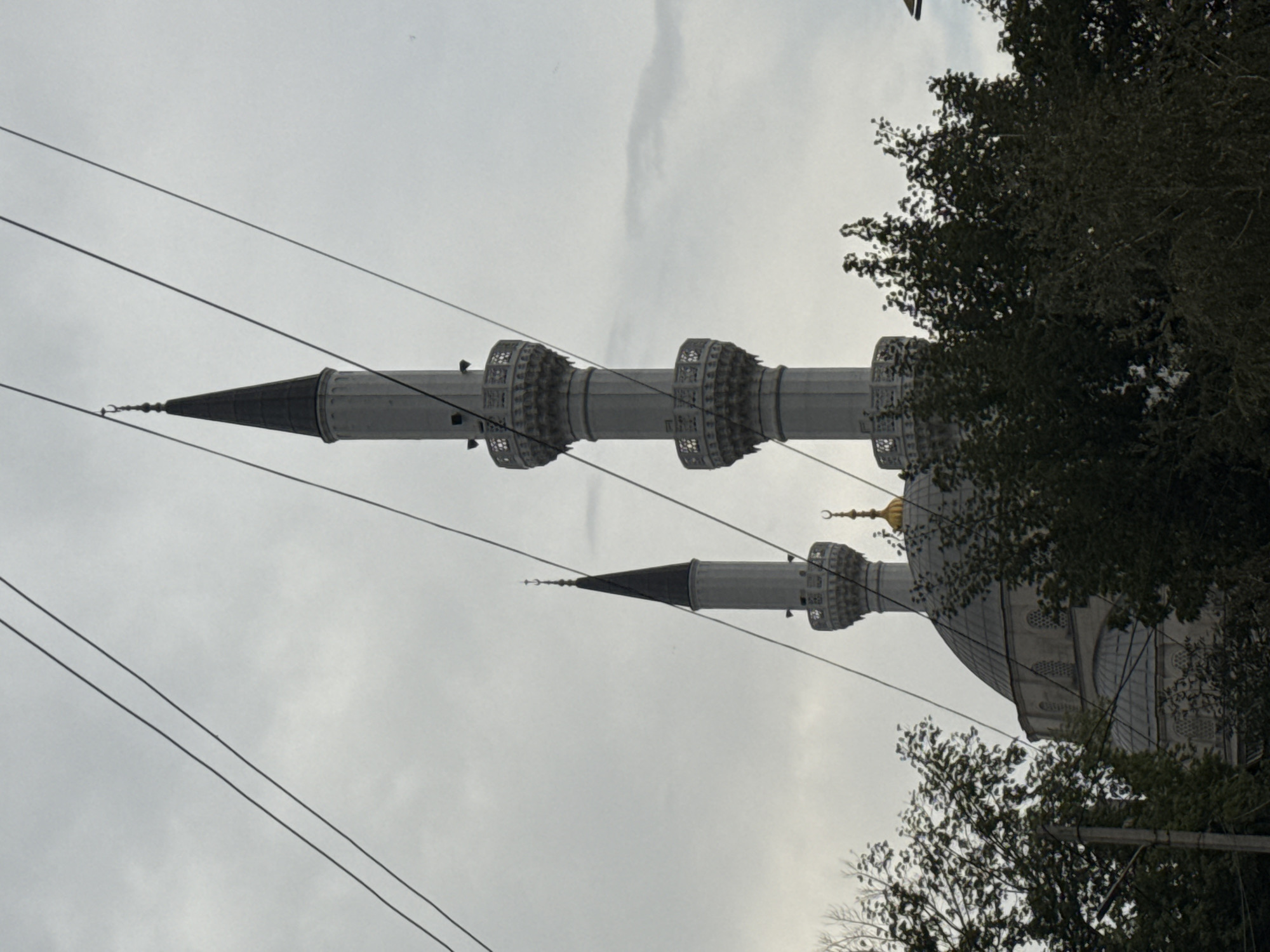 Two minarets of a mosque rise above the trees, silhouetted against a cloudy sky. The minarets are tall and slender, with decorative balconies and pointed tops. Overhead, power lines crisscross the frame. The dome of the mosque is visible behind the trees, topped with a golden crescent. The overall scene is muted and overcast, suggesting a somber or perhaps peaceful atmosphere.