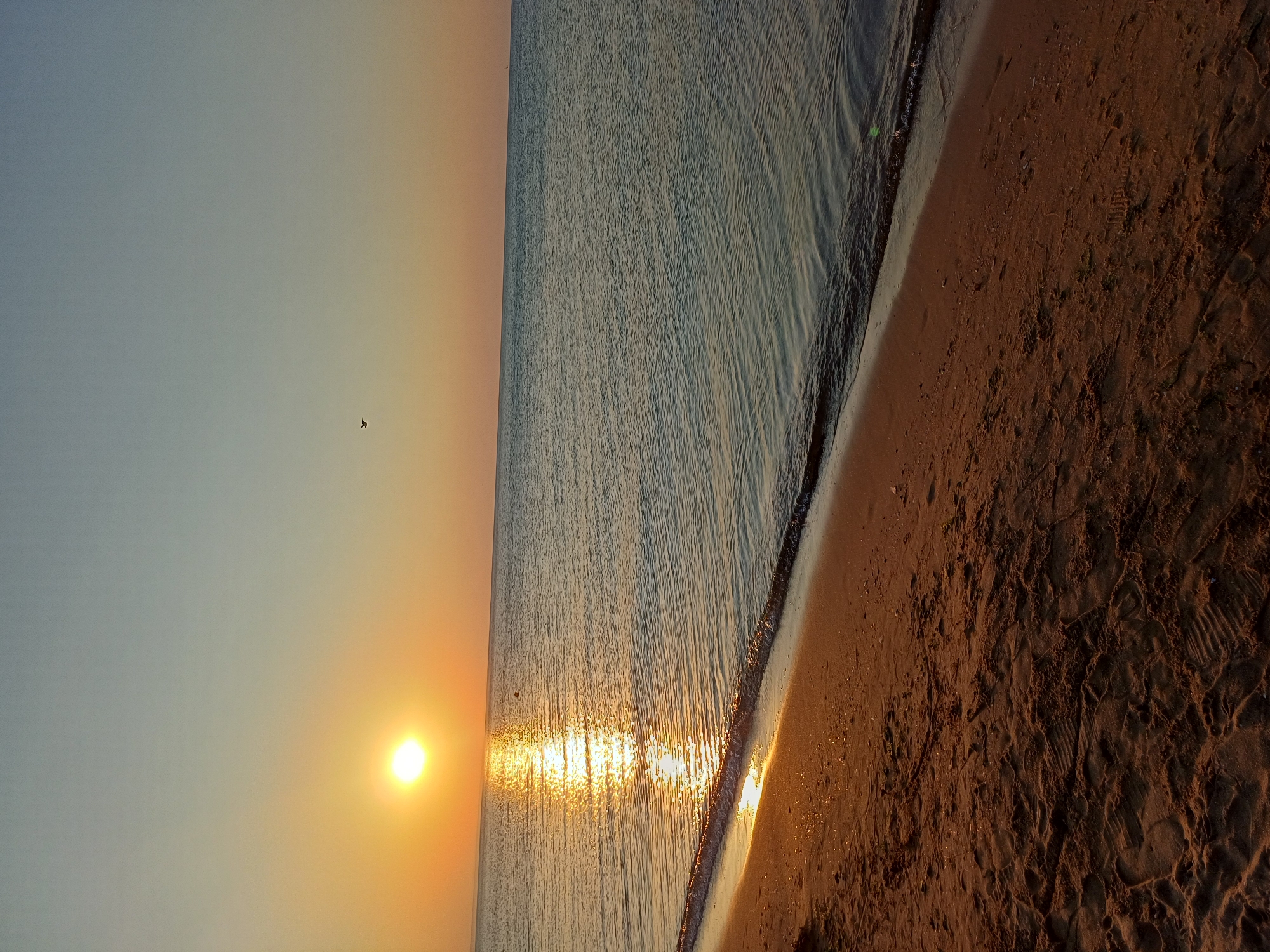 A tranquil sunrise over the Black Sea, captured from a sandy beach in Varna, Bulgaria. The sun, a bright orb, is low on the horizon, casting a shimmering golden path across the calm water. The sky transitions from a pale orange near the sun to a soft blue overhead. A solitary bird is visible in flight against the vast expanse of the sky. The foreground is dominated by the textured sand of the beach, marked with footprints, suggesting recent activity. The gentle waves lap at the shore, creating a peaceful atmosphere.