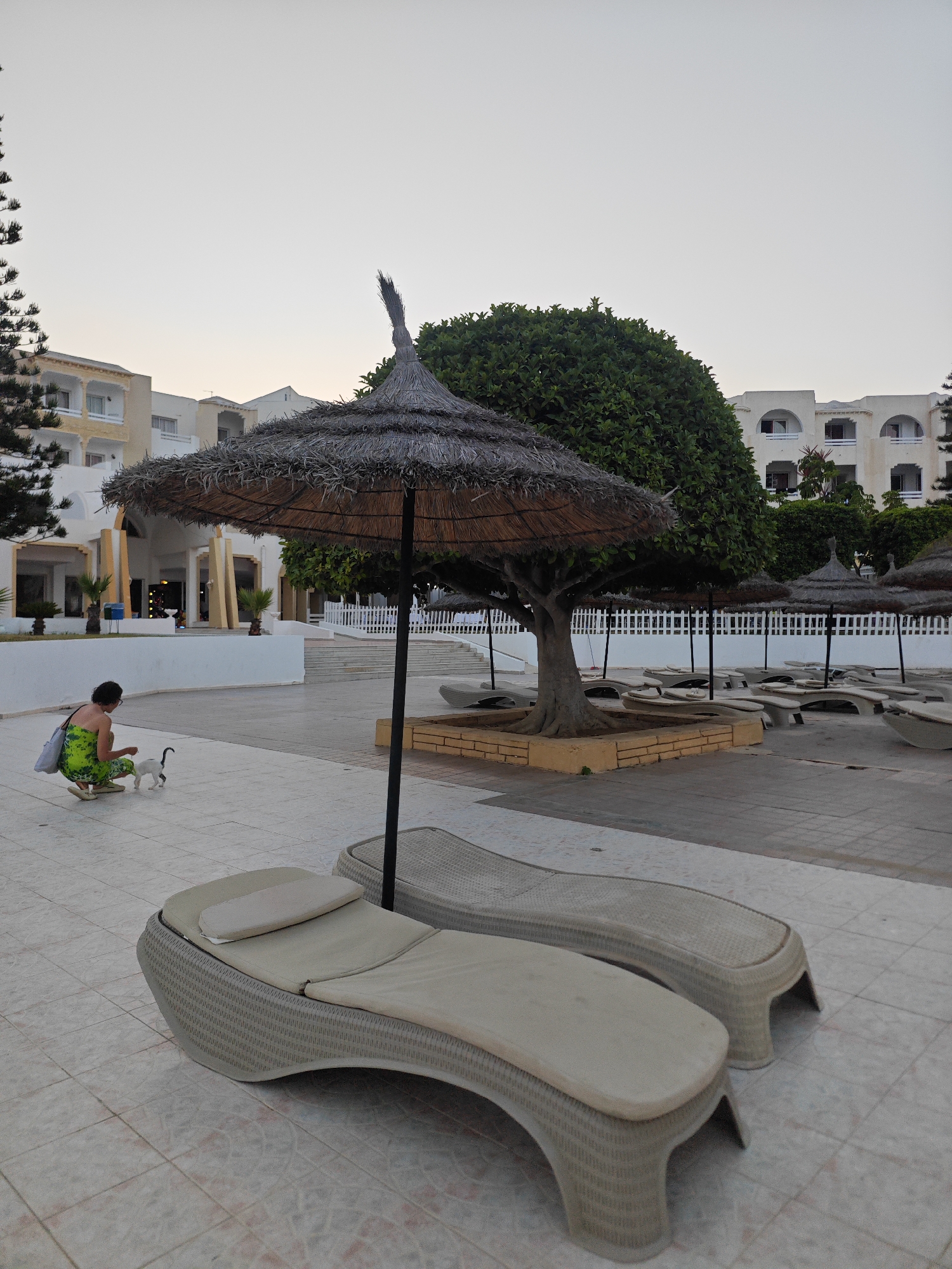In Hiboun, Tunisia, a woman wearing a green and yellow patterned dress kneels on a tiled outdoor patio near two wicker lounge chairs. She is interacting with a small white and black cat. Behind her, a thatched umbrella shades a seating area with multiple lounge chairs and a large tree. In the background, a multi-story hotel with white facades and arched windows is visible. The sky is overcast, suggesting it may be early morning or late evening. The environment appears to be a resort or hotel complex.