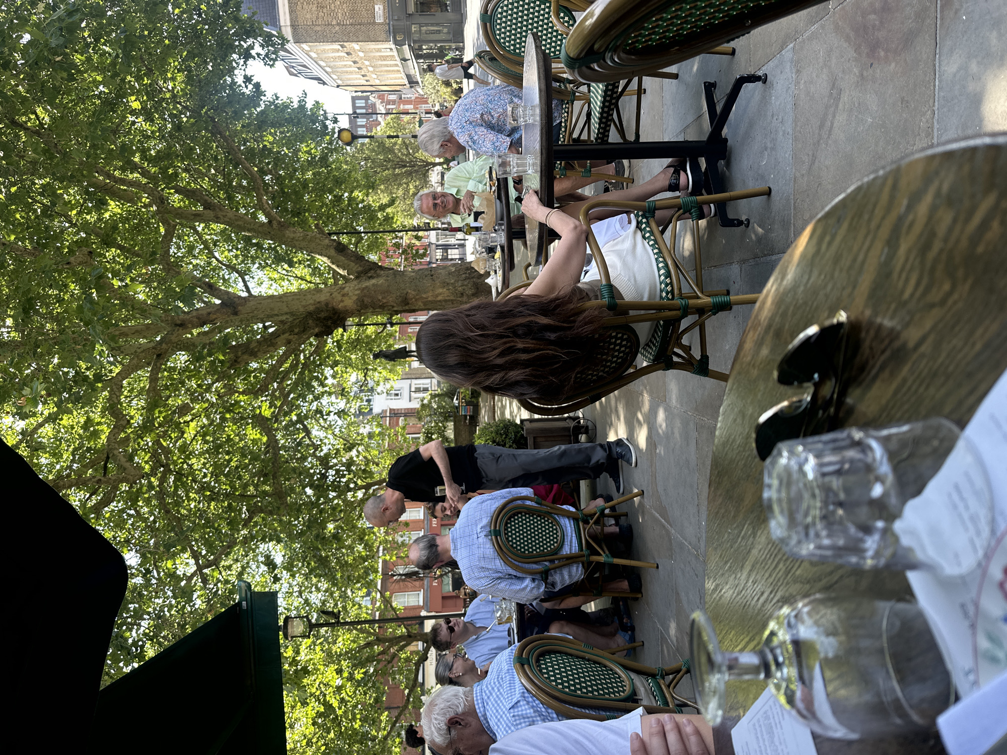 The scene depicts an outdoor restaurant setting, likely in the city of Unknown, Unknown. The setting features tables and chairs arranged on a paved surface, with a large tree providing shade. Diners are seated at the tables, engaged in conversation and eating. A waiter, dressed in black, is interacting with a table of patrons. Various objects are visible on the tables, including glasses, bottles, and menus. Buildings and a traffic light are visible in the background, indicating an urban setting.