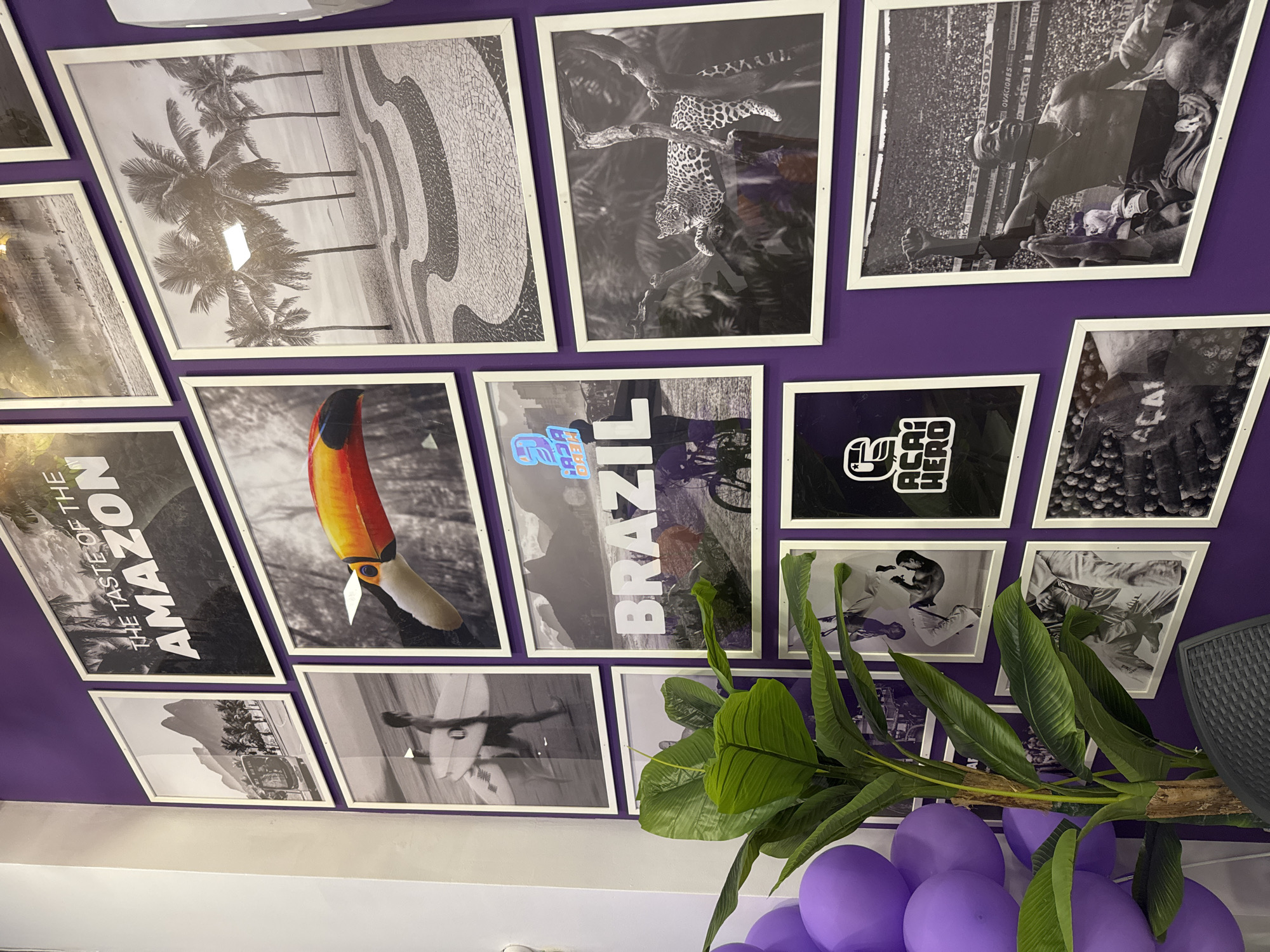 The image displays a purple wall adorned with a grid of framed pictures. The subject matter of the images ranges from natural scenery (such as palm trees and jaguars) to promotional content that references Brazil and the Amazon. A toucan is also featured. Some of the frames contain words, including "Amazon," "Brazil," and "Acai Hero". A plant with broad, green leaves is situated in front of the wall, along with a cluster of purple balloons, creating foreground visual elements. The scene suggests an interior, possibly a café or restaurant with a Brazilian theme, but specific information regarding the location in Sofia, Bulgaria, is absent in this image.