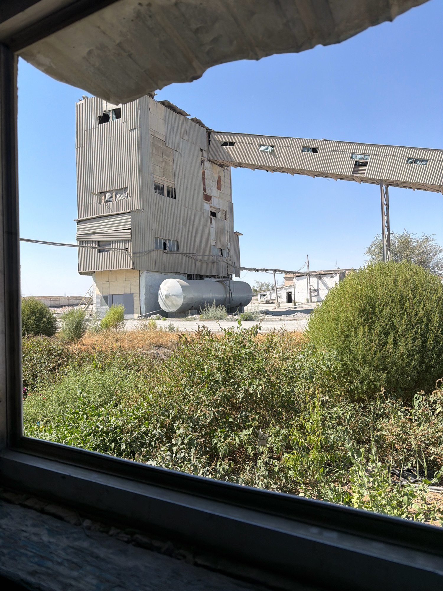 A medium-shot captured from behind a dirty window frame shows an industrial complex in Besapan, Uzbekistan. A corrugated metal structure, appearing to be a grain silo or conveyor belt system, dominates the center of the frame, with a long, elevated walkway extending to the right. The building is weathered and shows signs of disrepair, with broken windows and peeling metal siding. A large cylindrical tank is visible near the base of the main structure. The foreground is filled with dense green foliage and dry brush, suggesting an overgrown and possibly abandoned area. The background consists of a clear blue sky. The scene is devoid of any human presence.