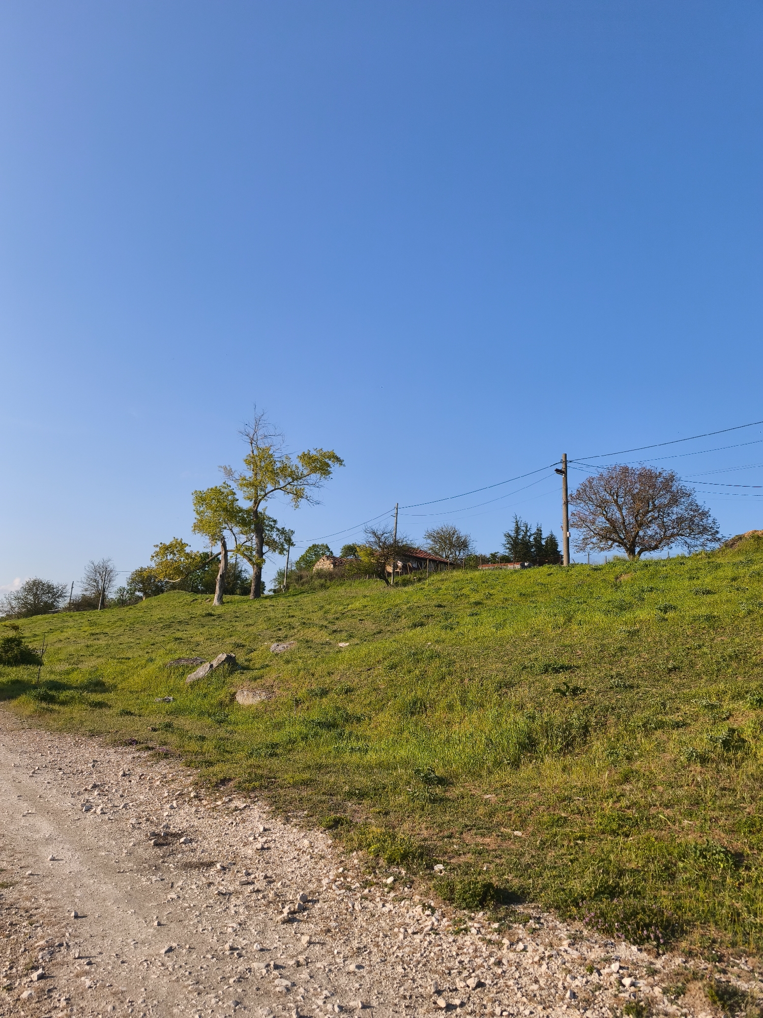 The image depicts a rural scene in Avren, Bulgaria. A gravel path borders a grassy hillside under a clear blue sky. The hillside is populated with trees, some with green leaves and others with reddish-brown foliage. A telephone pole with lines runs across the hilltop. There are buildings, possibly houses, on the hill in the background. No people or animals are visible.