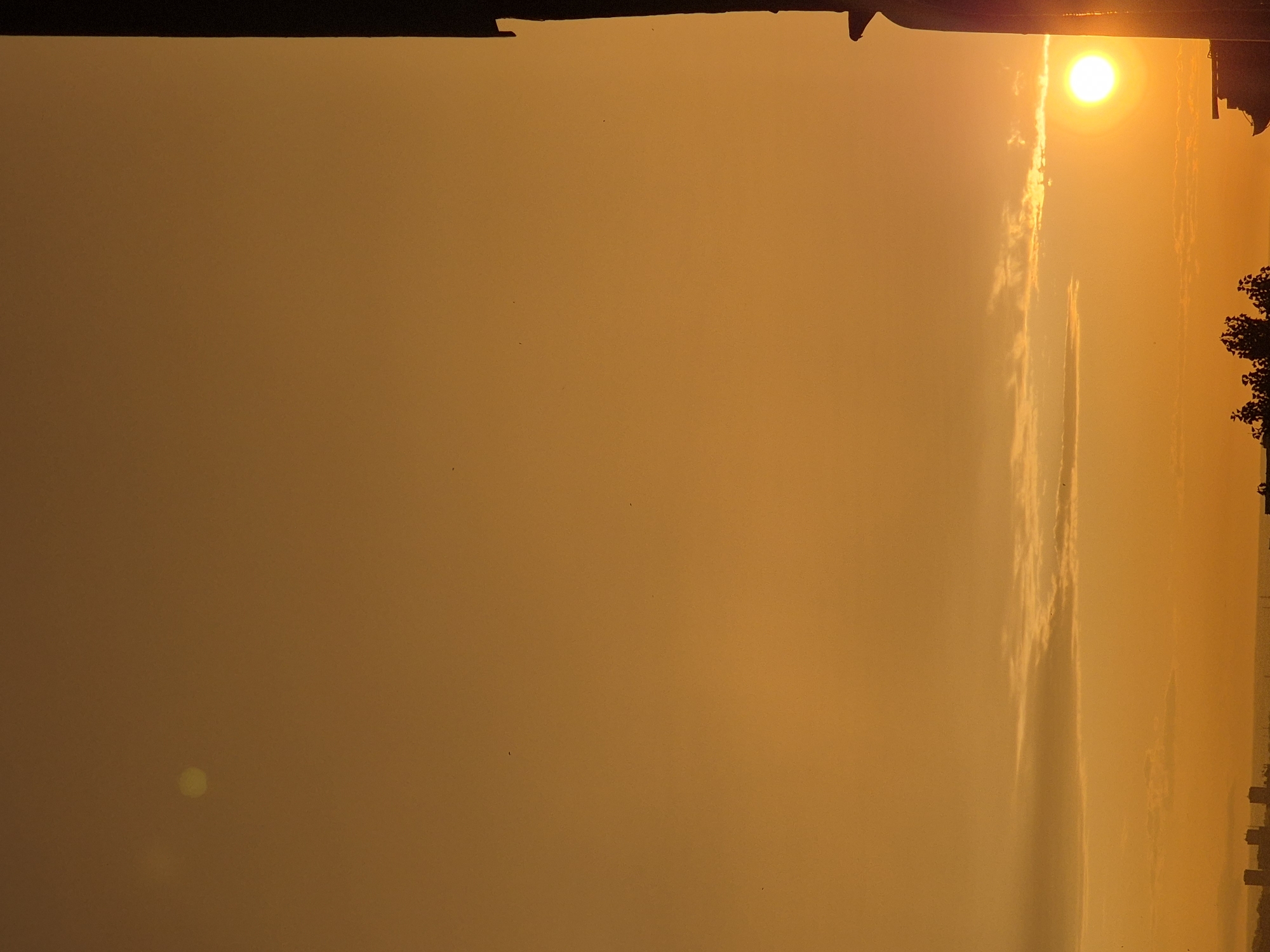 The image presents a panoramic view of a sky during either sunrise or sunset, dominated by warm golden-orange and yellow tones. The upper two-thirds of the frame consist of a hazy, largely clear sky, with a subtle golden gradient. A distinct, pale yellow, circular lens flare is visible in the upper-left quadrant. Several small, dark, pixel-like specks, possibly distant birds, are scattered across the sky.
Horizontally aligned, elongated cloud formations, appearing as darker grey streaks, are present across the middle of the frame. Below these clouds, a distant urban landscape is silhouetted against the brighter horizon. This includes several dark, rectangular building structures on the left side of the horizon, and a dark, indistinct horizontal expanse in the center, potentially indicating a body of water or distant land.
The sun, a brilliant, circular, yellow-white orb, is prominent in the lower-right quadrant, emitting intense light. It is partially obscured by a large, dark, irregularly shaped vertical structure that occupies the entire right edge of the image, extending from top to bottom. This structure, appearing to be an architectural element or pillar, is rendered in silhouette and exhibits a jagged outline, particularly where it intersects with the sun. In the lower-middle and lower-right, dark, silhouetted forms of what appear to be trees or bushes are visible. No individuals or specific actions are depicted. The scene is set in an unspecified urban area at either dawn or dusk.