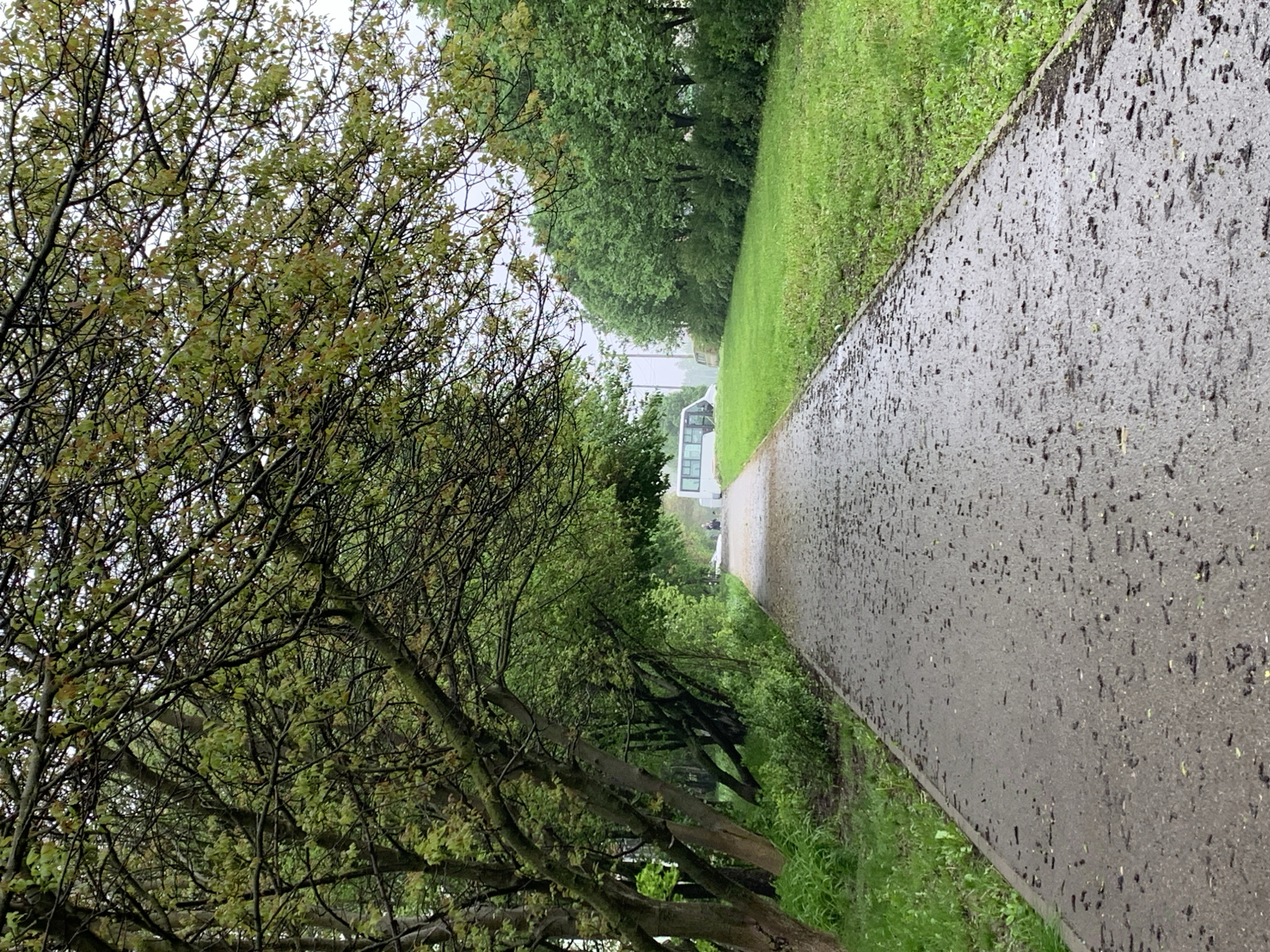 The image shows a wet concrete path lined on one side with grass and the other with trees, likely in Stavropol, Russia. At the end of the path is a building. There are no people visible in the image. The scene appears to be after a rainfall, given the wet path and foliage.