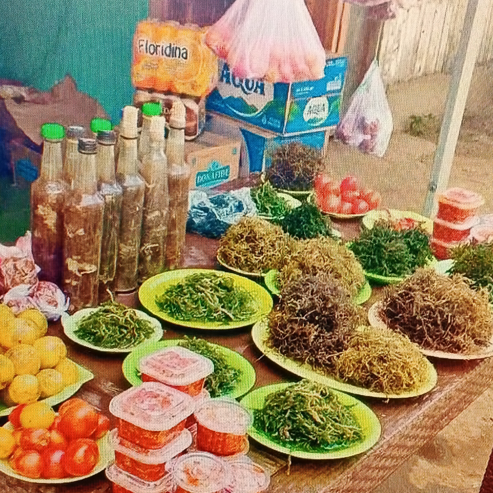 This image depicts a street-side market stall, likely located in Ende, Indonesia, based on the presence of "Floridina" juice bottles, a popular Indonesian brand. The stall is set up on a table covered with a brown tarp or cloth.

In the background, several stacks of bottled drinks are visible. On the left, there are two large yellow cartons of "Floridina" juice. To their right, blue boxes labeled "AQUA" are stacked, indicating bottled water. A white plastic bag filled with what appears to be small red items (possibly berries or dried fruits) is hanging from a structure behind the drinks.

The foreground features an assortment of food items displayed on plates and in containers. Several glass bottles with brown liquid, possibly homemade beverages or traditional medicines, are arranged in the center. To the left, a plate holds a pile of bright yellow fruits, likely lemons or limes. Next to them, another plate contains red fruits, resembling tomatoes. In front of these, several clear plastic containers are stacked, filled with a reddish-orange substance, possibly jam or preserved fruit.

The main focus of the display is the collection of plates filled with what appears to be dried or preserved vegetables or herbs. These are arranged in several piles on green and white plates, varying in color from light green to dark brown and straw-like hues. The texture of these items is stringy and shredded.

The overall impression is of a bustling local market offering a variety of food and drink items. The lighting suggests it is daytime, and the environment appears to be outdoors.