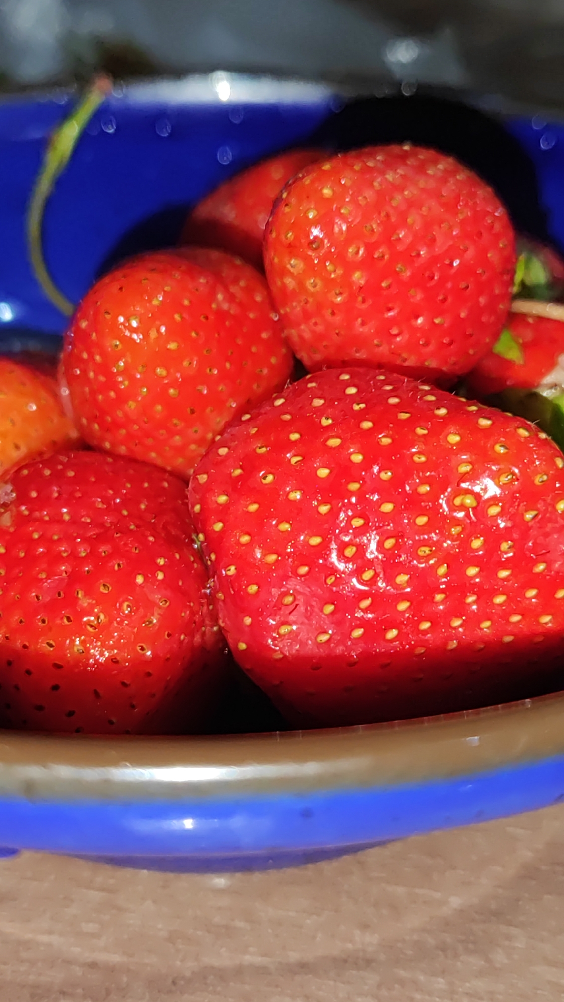 This is a close-up, slightly out-of-focus image of a bowl of fresh strawberries. The subjects are several bright red strawberries, some with visible seeds and water droplets on their surfaces, suggesting they may have been recently washed. The strawberries are contained within a bowl that has a blue interior rim and a brown exterior. The background is dark and blurred, with some highlights indicating artificial lighting. The setting appears to be indoors, likely a kitchen or dining area, given the presence of a bowl and the natural texture of a countertop or table visible at the bottom of the frame. There is no text visible in the image. The overall impression is one of freshness and a simple, appealing presentation of fruit. The shallow depth of field focuses attention on the texture and vibrant color of the strawberries.