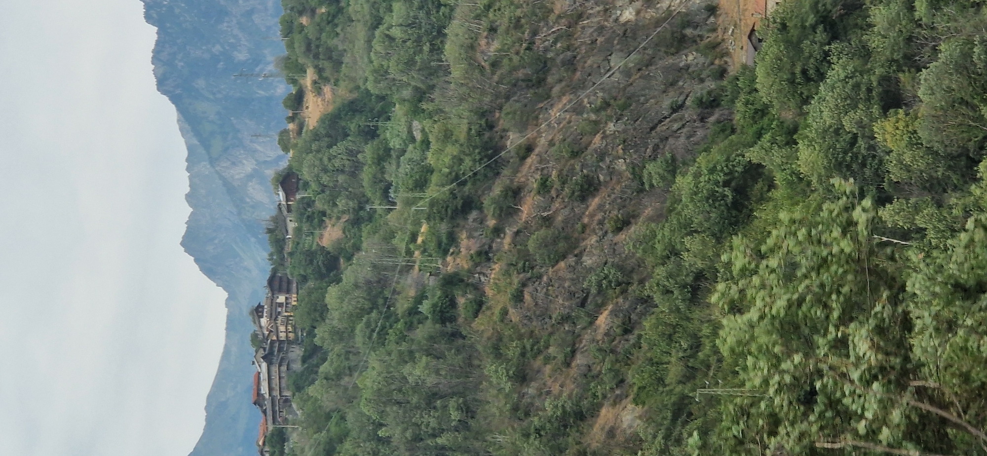 The image depicts a mountainous landscape with a village nestled on a hillside. The village, likely in or around Challand-Saint-Victor, Italy, features traditional stone and wooden houses with terracotta roofs. The houses are clustered together on the upper part of a steep, tree-covered slope. Dense green foliage, predominantly deciduous trees, covers the mountainside, with some rocky outcrops visible. In the background, rugged, hazy blue mountains rise against a pale sky. Power lines and utility poles are present on the slope, indicating infrastructure supporting the settlement. The foreground shows more trees, some of which are blurred, suggesting movement or a shallow depth of field. The overall impression is of a remote, rural settlement integrated into its natural environment.