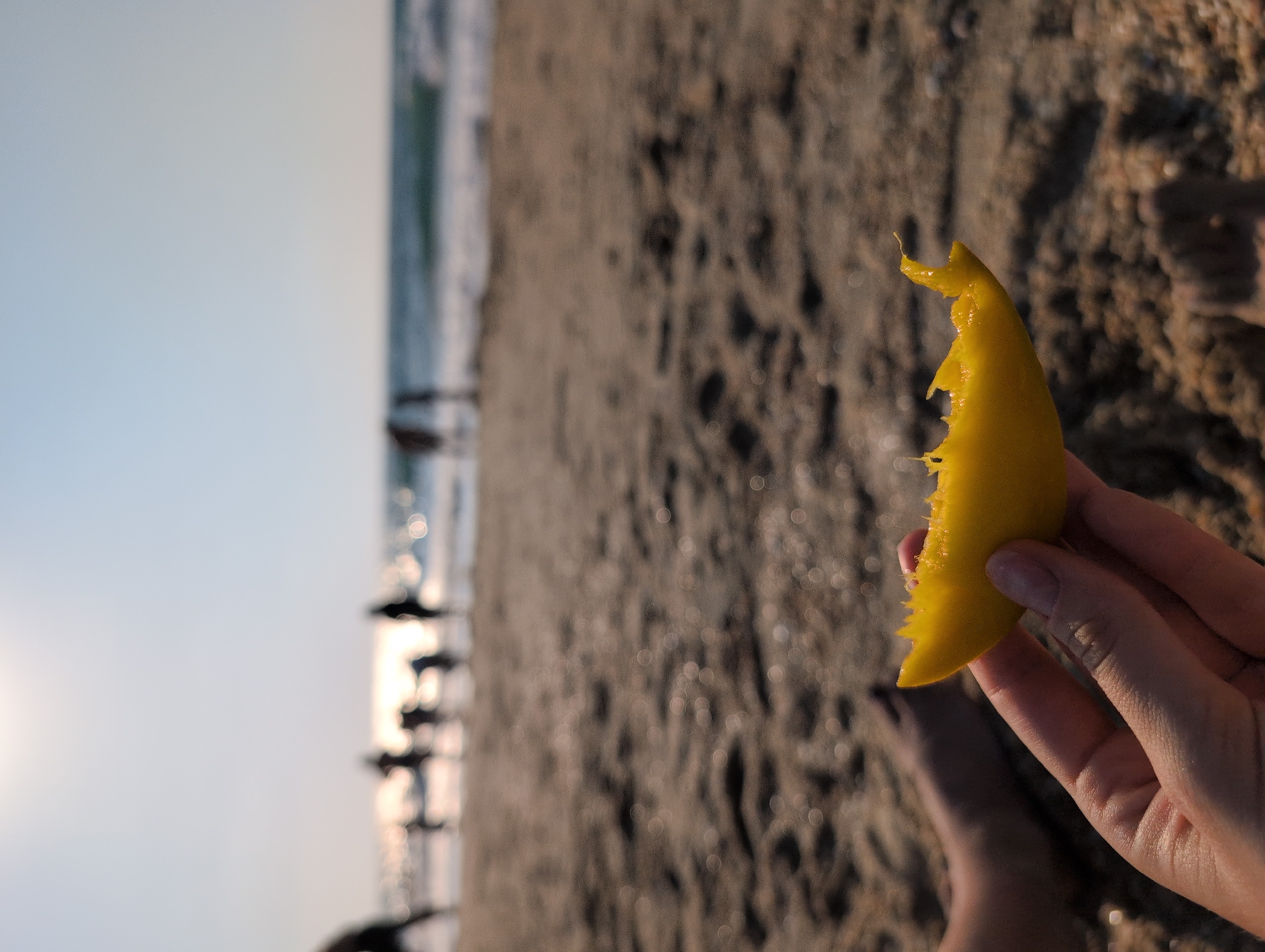 In Palmachim, Israel, on a sandy beach, a person's hand holds a bright yellow slice of fruit, possibly mango, in the foreground. The fruit has visible bite marks, indicating it has been eaten. The hand is positioned to the right of the frame, with fingernails visible and a slight shadow cast by the fruit. In the background, out of focus, several silhouetted figures are scattered along the shoreline, appearing to be people enjoying the beach. The ocean is visible with gentle waves, and the sky is a pale, clear blue, suggesting it is daytime, possibly late afternoon due to the sunlight casting a warm glow. The sand is textured with small pebbles and indentations, typical of a beach environment. The overall scene captures a moment of leisure and refreshment in a coastal setting.