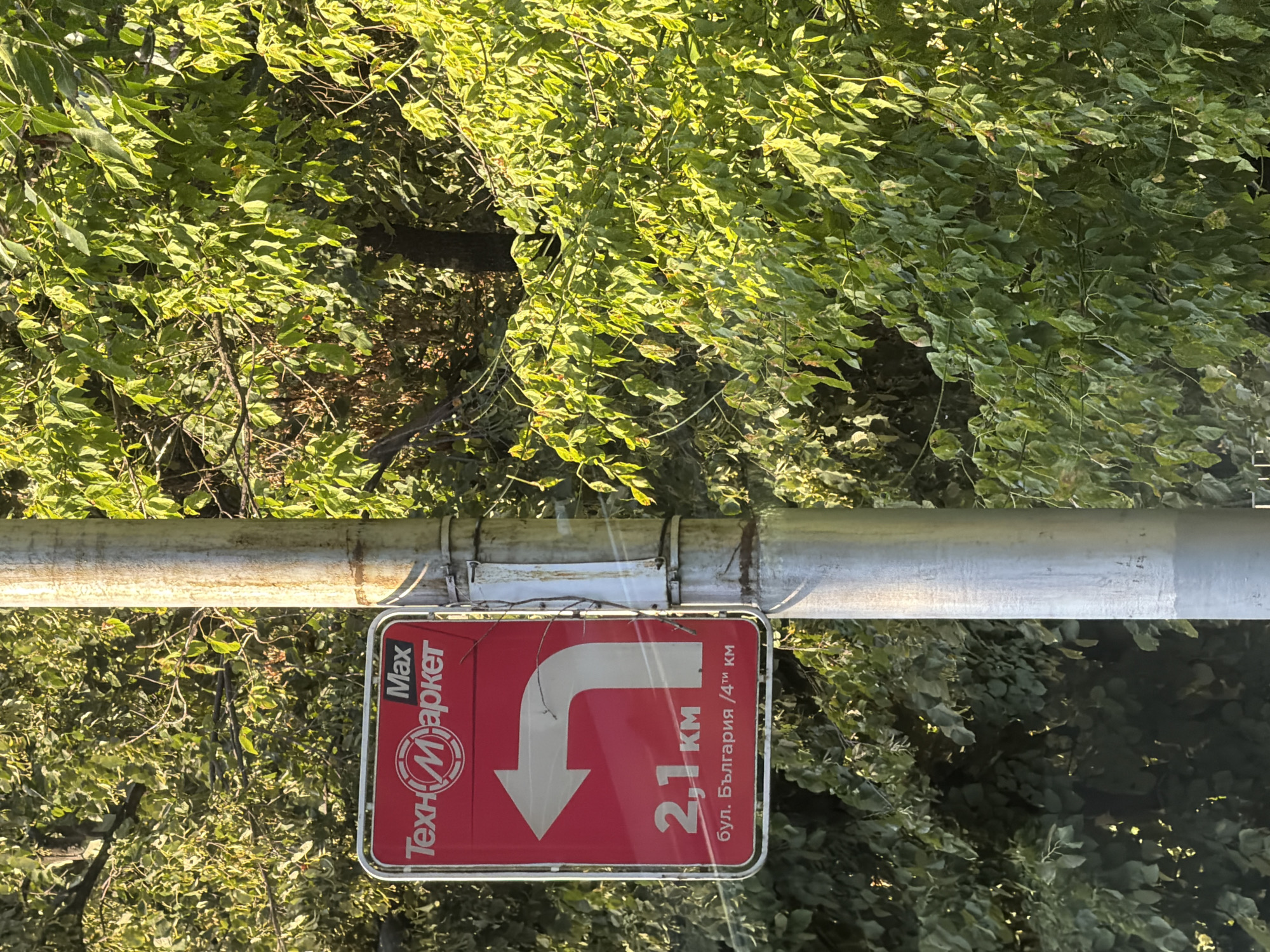 The image shows a traffic sign in Plovdiv, Bulgaria, indicating that the "Maxi Market" is located 2.1 km to the left, on "Bul. Bulgaria / 4th km". The sign is red with white text and graphics. A large white arrow points left and then curves down, signifying a turn. Below the arrow, the distance "2.1 km" is displayed prominently. Beneath that, the street name "бул. България" and the mile marker "/4ти км" are written in smaller text. The sign is mounted on a metal pole, which is partially obscured by the leaves of a lush green tree in the foreground. The sunlight casts shadows and highlights on the leaves and the pole, suggesting it is daytime. The background consists of more trees and foliage, characteristic of a park or a tree-lined street in Plovdiv. There are no people or vehicles visible in the frame.