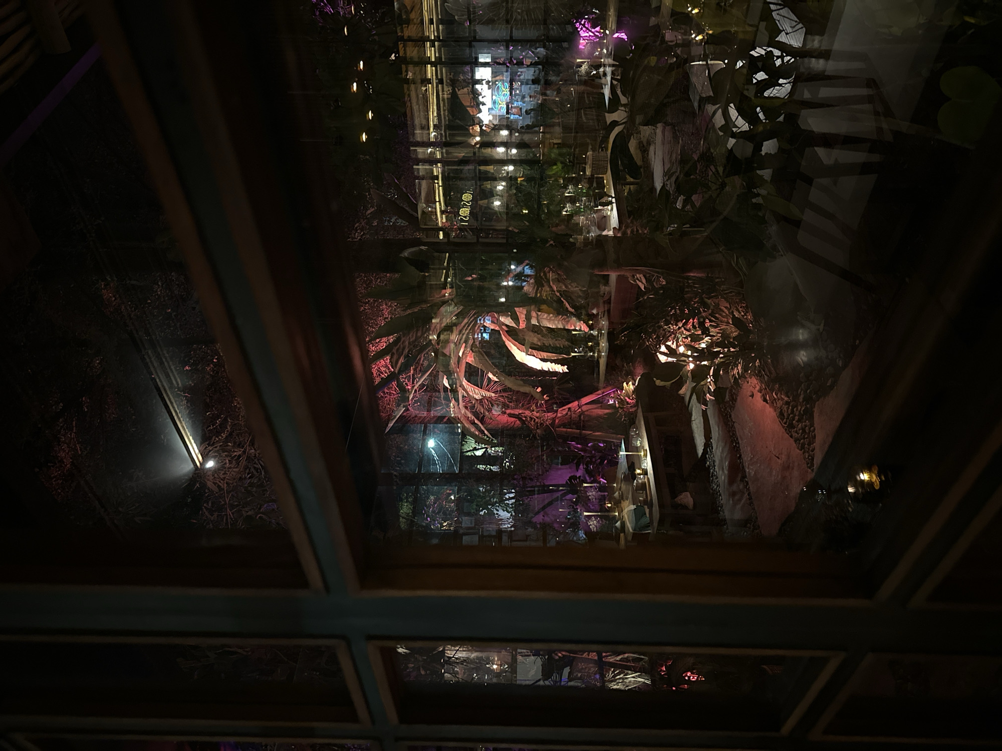 This image depicts an interior view of a building in Pererenan, Indonesia, seen through a grid-like window structure. The interior features lush, tropical plants, some illuminated with pink and red lighting, possibly as part of the décor. The window structure frames the interior scene, creating a sense of looking into another space. The lighting is generally dim, except for the artificial lights accentuating certain plants and possibly other architectural elements. The scene gives the impression of a stylish, perhaps upscale, establishment in a tropical location.