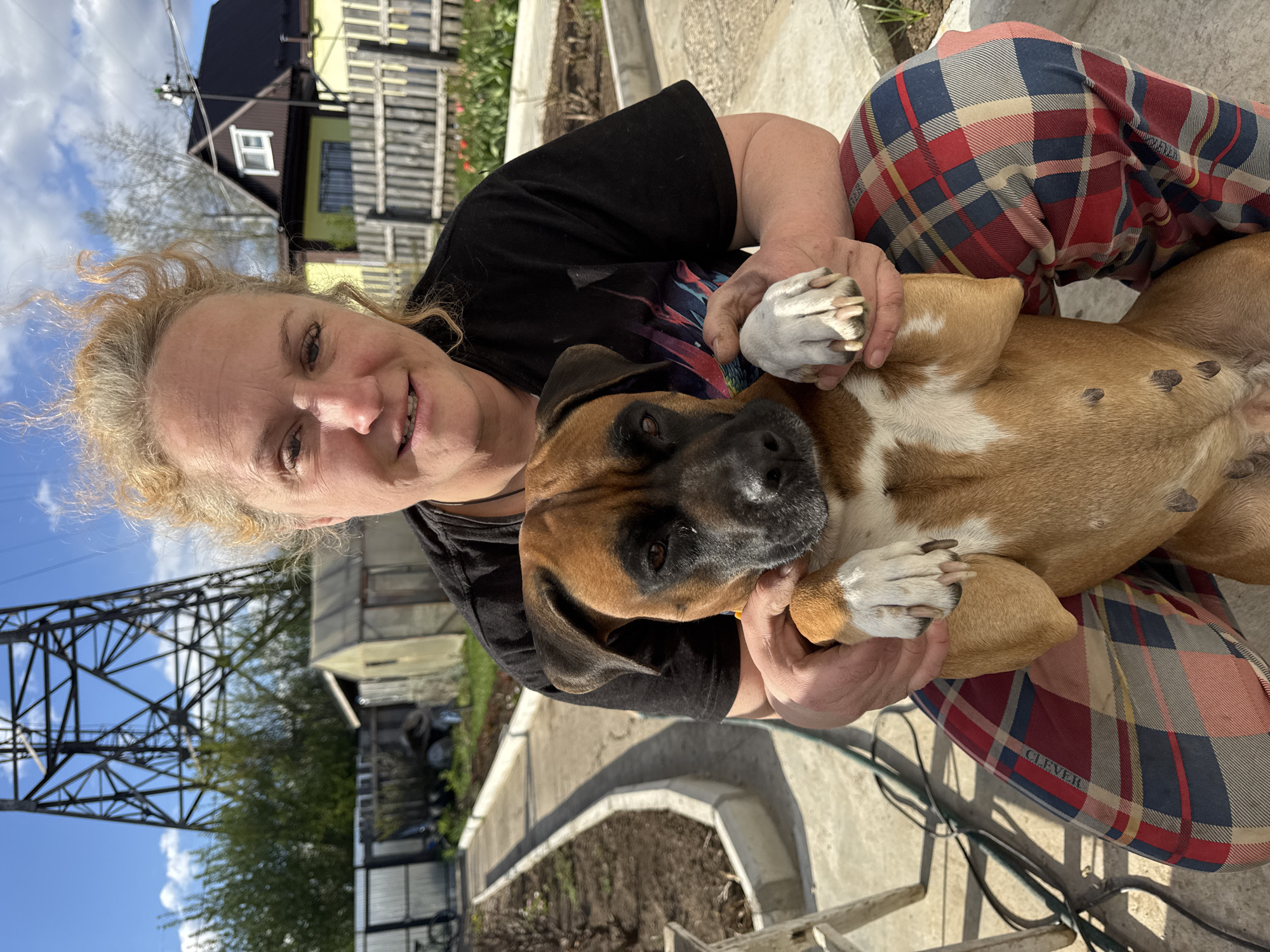 A woman with curly blond hair is sitting outside in Chaikovsky, Russia. She is wearing a black shirt and red, blue, tan, and white plaid pants. She is holding a brown and white Boxer dog on its back, with its white paws showing. In the background, there is a house and an electrical tower with a bright blue sky and white clouds. There is a flower bed and some hoses on the ground. The woman is smiling.