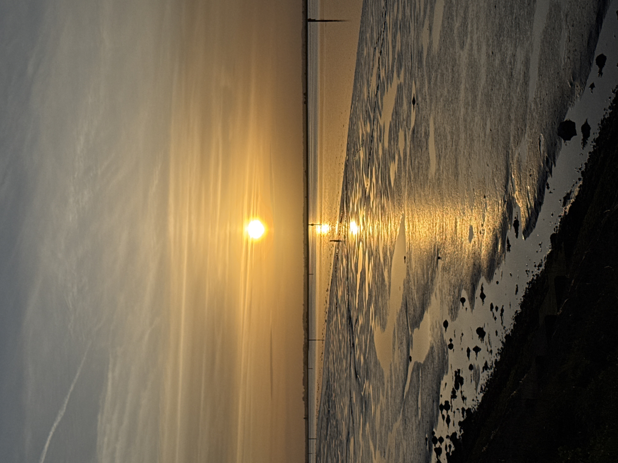 The image shows a sunrise over a mudflat in Great Yarmouth, United Kingdom. The sun is low on the horizon, casting a golden light across the sky and reflecting off the wet mud. The foreground is dark and features vegetation, and the background shows the sky with light clouds. There are some birds in the distance.