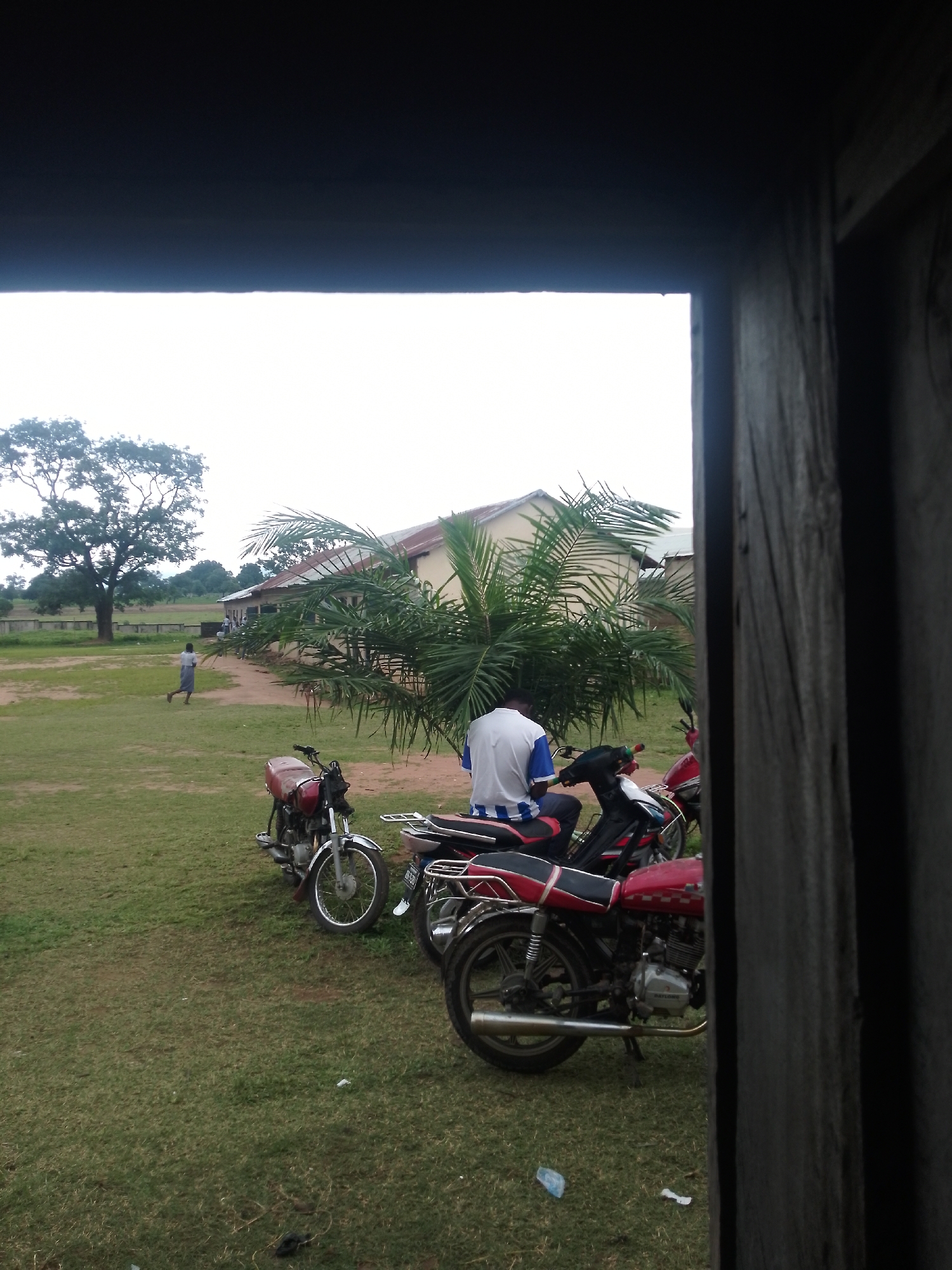 The image captures an outdoor scene, possibly a schoolyard or a communal area, with a building in the background and several motorcycles parked in the foreground. The sky is overcast, suggesting a cloudy day.
In the middle ground, a person is seated on a motorcycle, wearing a white shirt with blue and white stripes. Another person, a child, is running across a grassy field towards the left side of the frame. The building in the background appears to be a single-story structure with a reddish roof. In front of the building, there is lush green vegetation, including a prominent palm tree. A large, mature tree stands on the left side of the image, with its branches spread wide.
The foreground is dominated by a row of motorcycles. The closest motorcycle is red and black, with chrome accents and a visible engine. Another red motorcycle is parked behind it. The motorcycles suggest a mode of transportation common in the area.
The overall impression is of a quiet, everyday moment. The presence of the school-like building and the running child hints at an educational or community setting. The lighting is soft, consistent with an overcast sky, and there are no strong shadows. The scene appears to be set in a rural or semi-rural location, given the open space and natural elements. No visible text is present in the image.