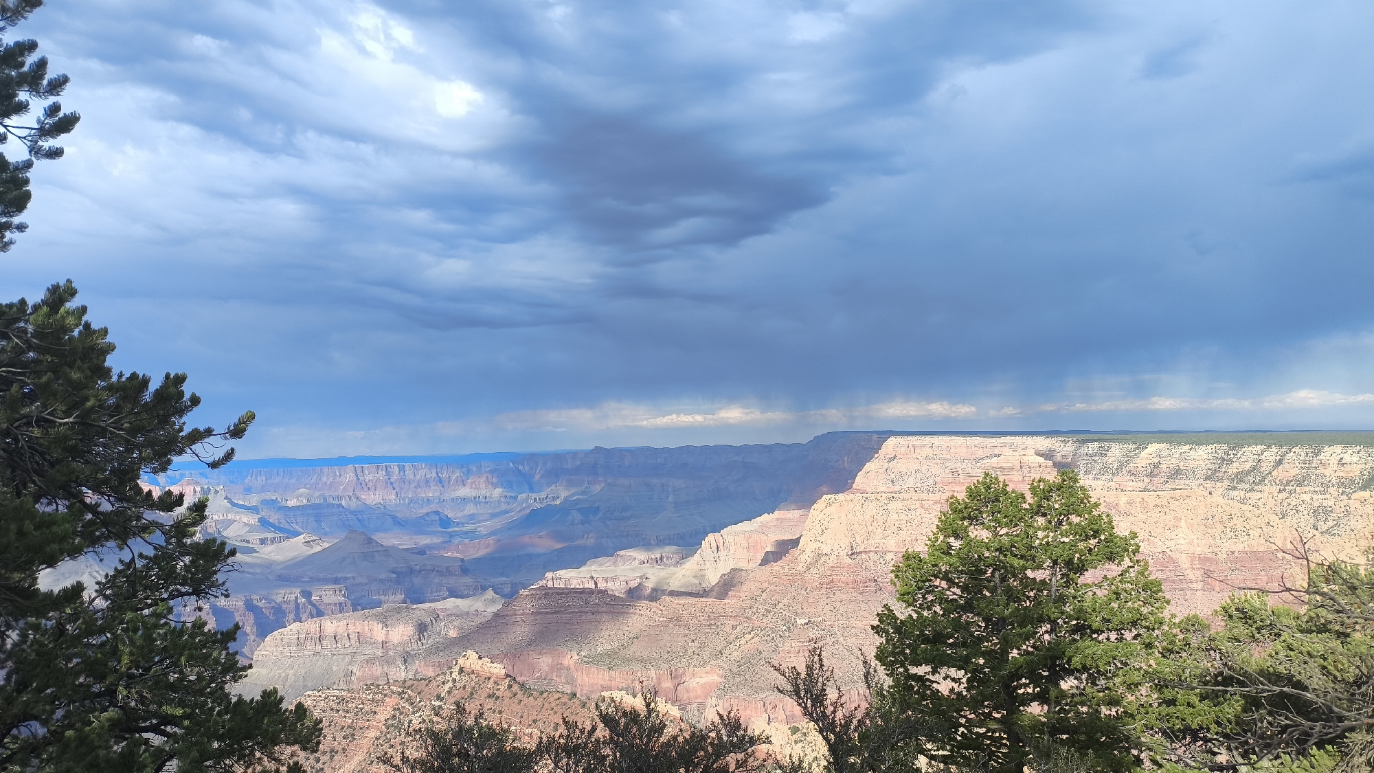 The image captures a breathtaking panoramic view of the Grand Canyon from an elevated viewpoint, likely near Tusayan, Arizona, United States. The vast canyon stretches out, revealing layers of rock formations in shades of red, orange, and brown, sculpted by time and erosion. Sunlight casts dramatic shadows across the landscape, highlighting the depth and texture of the canyon walls.
The sky above is a mix of dramatic, dark blue storm clouds and patches of lighter blue, suggesting a dynamic weather system. In some areas, faint streaks of rain are visible descending from the clouds, adding a sense of atmosphere to the scene.
In the foreground, the dark green needles of pine trees frame the view, their branches reaching into the frame. These trees are dense and lush, providing a stark contrast to the arid beauty of the canyon. The ground in the immediate foreground is covered with low-lying shrubs and vegetation.
The overall impression is one of immense natural grandeur and the power of the elements, with a sense of stillness and awe inspired by the scale of the landscape. There are no people or animals visible in the image.