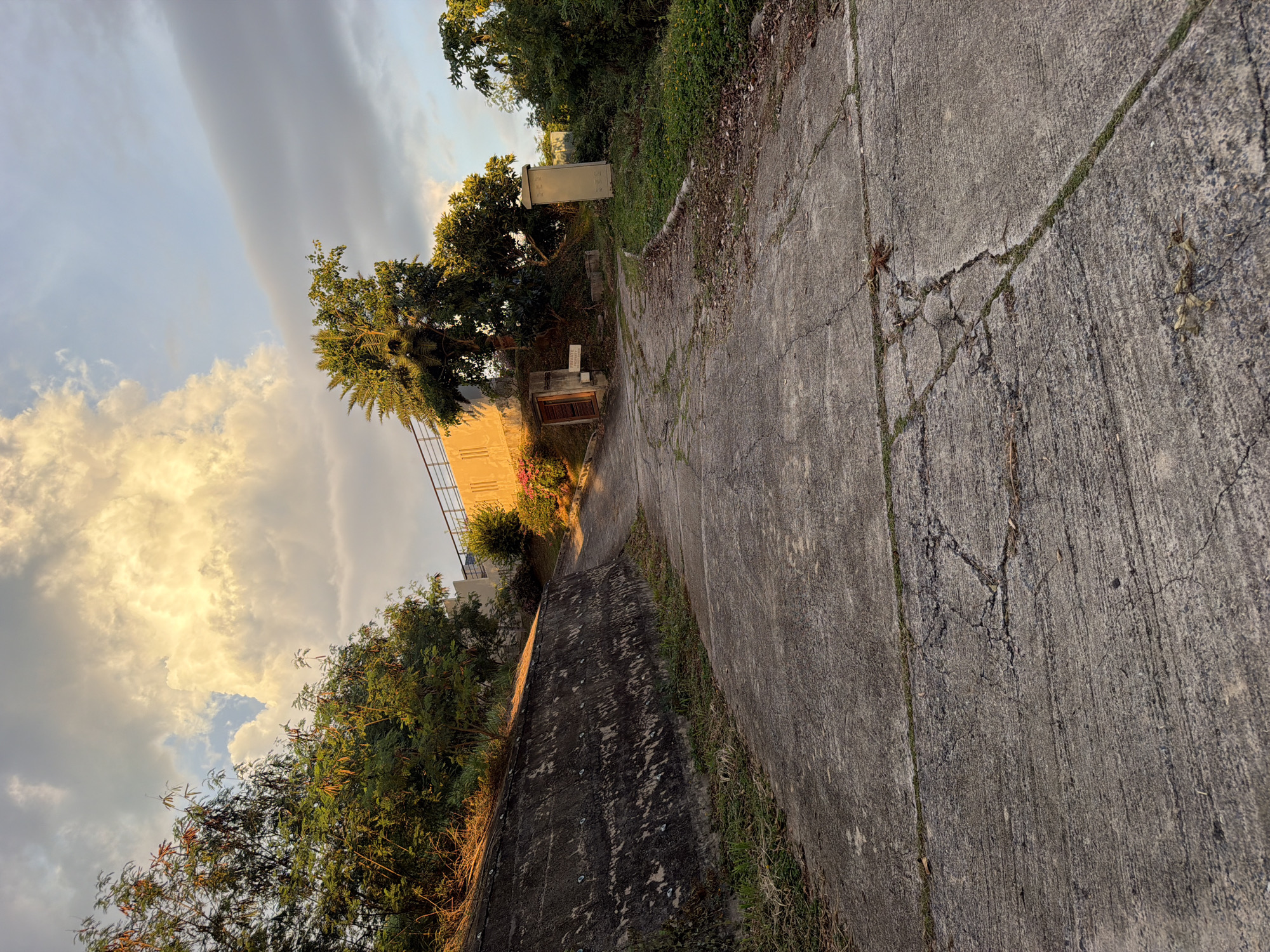 The image depicts an exterior scene at dusk, featuring a bifurcating concrete pathway winding uphill. The pathway is weathered, showing signs of cracking and vegetation growth along its edges. On the left, a steep, dark concrete retaining wall rises, partially covered in grass. On the right, the terrain is overgrown with dense green foliage and trees.
In the middle ground, a single wooden door is visible, set against a slope. Adjacent to it, a cream-colored electrical or utility box stands on the right side of the path. Further up the hill, a yellow building with a railing is partially visible, bathed in the warm, golden light of the setting sun, which also illuminates a large, dramatic cloud formation in the sky. The sky itself is a gradient of pale blue and gray, with the golden sunlight piercing through the clouds. No people are present in the image. The location appears to be a semi-urban or rural setting, given the vegetation and the utility structures. The scene is quiet and still, with the natural light creating a sense of a peaceful end to the day.