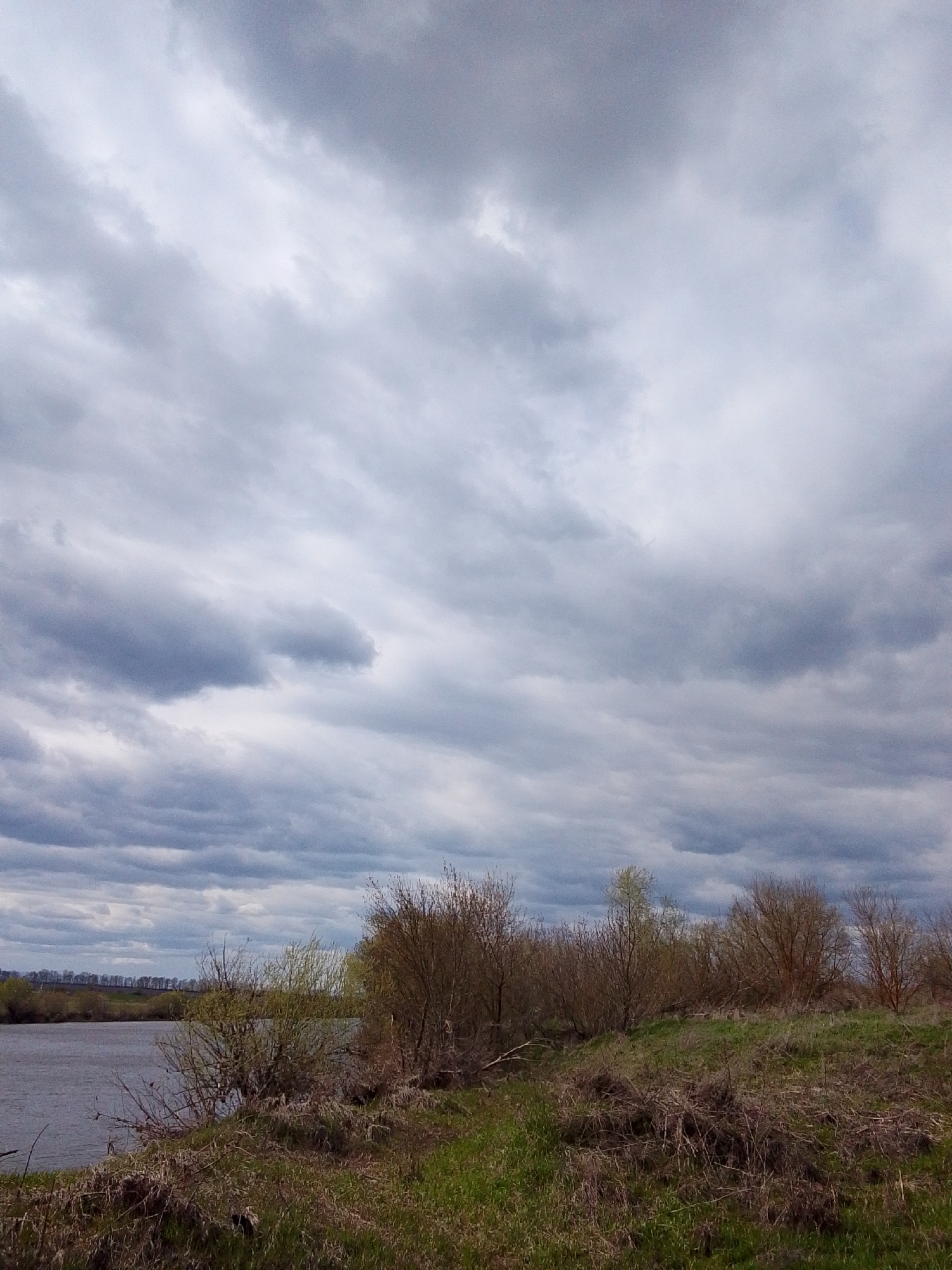 The image depicts a landscape in or near the city of Дерезовка, Russia. An expanse of water, possibly a river or lake, is visible on the left side of the image. The near shoreline consists of a bank covered with brown, dry vegetation mixed with patches of green grass, suggesting early spring or late autumn. Several bushes and small trees are scattered along the bank, appearing mostly bare except for a few with emerging green buds.
The sky is overcast with heavy, gray clouds filling most of the frame. In the distance across the water is a faint tree line. No people or animals are visible in the image. The overall scene suggests a rural or natural environment, potentially a park or undeveloped area near Дерезовка.