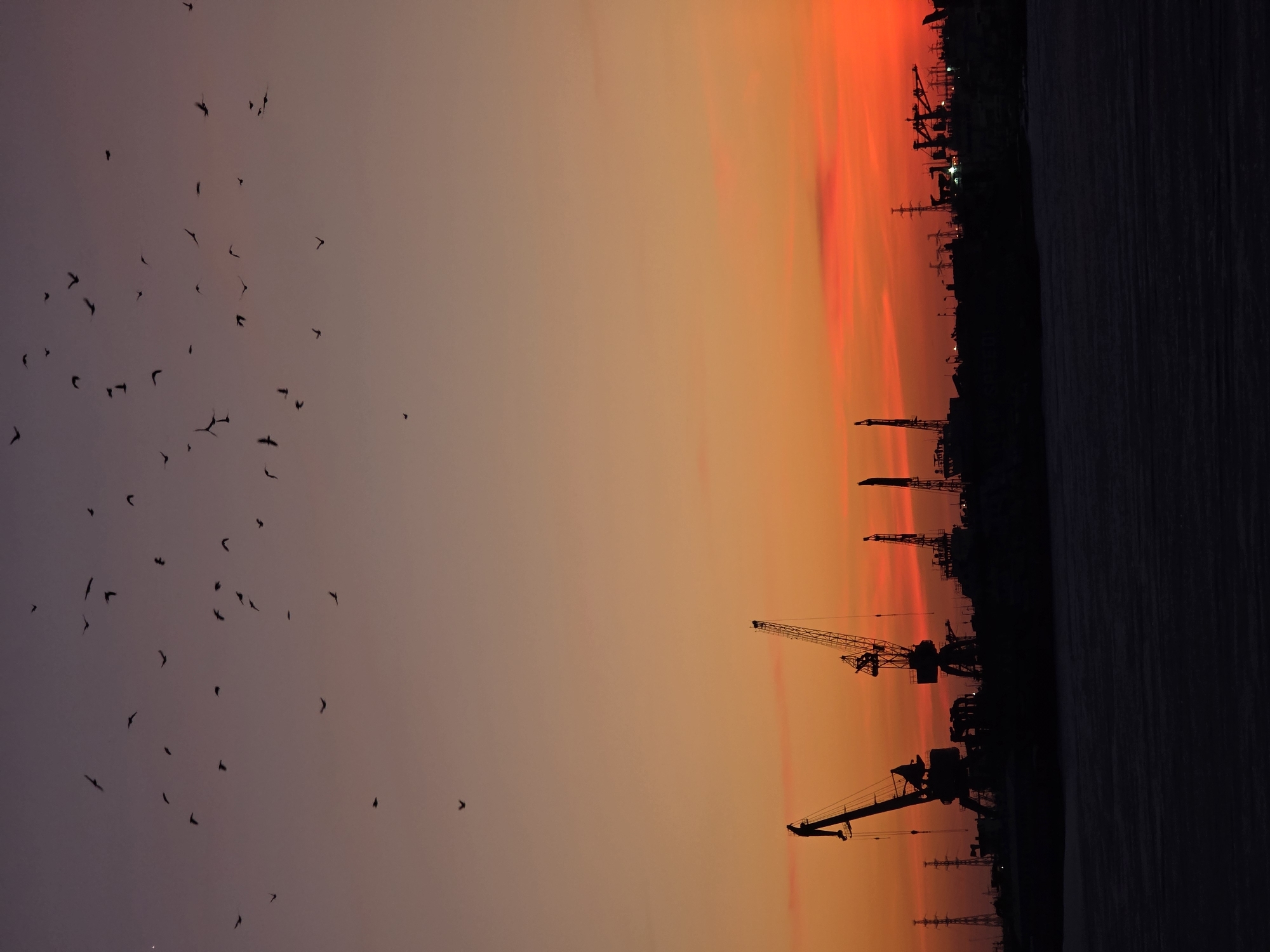 The image depicts a harbor at sunset in the city of Chaikovsky, Russia. Silhouetted cranes dominate the skyline against a fiery orange and purple gradient sky. A large flock of birds is silhouetted against the left portion of the sky. The right side of the image is occupied by a dark area which may be a body of water, such as a port. The sky is the main feature, transitioning from purple at the bottom left to orange at the top right. Silhouetted harbor cranes, industrial silhouettes, and the flock of birds are all very dark, emphasizing the colorful sunset.