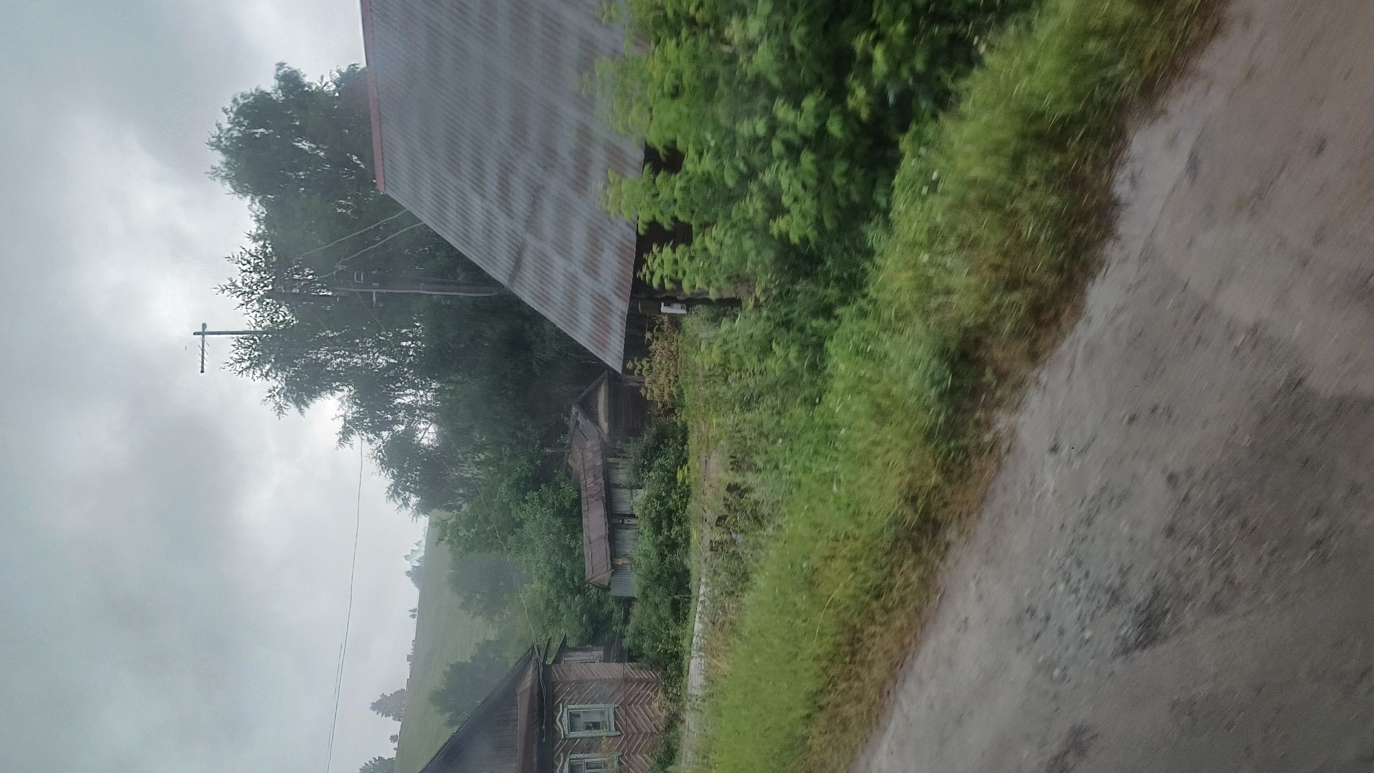 This is an image of a rural village scene in Buranovo, Russia, under an overcast sky. In the foreground, a dirt road with patches of gravel runs diagonally across the frame. To the left of the road, dense green grass and weeds grow. Behind the grass, on the left side of the image, stands a two-story wooden house with a dark, weathered roof and a light-colored facade adorned with decorative trim around the windows. Further back, nestled among lush greenery, are several small, older outbuildings with corrugated metal roofs.
To the right of the outbuildings, a larger building with a prominent, steeply pitched corrugated metal roof dominates the mid-ground. The side of this building is made of dark wood. In front of this building, on the right side of the frame, is a cluster of dense green bushes. Behind the buildings, a dense line of various trees forms a backdrop, with a pole and a cross-like structure visible against the sky in the upper right quadrant. The overall impression is one of a slightly overgrown, weathered rural settlement.
